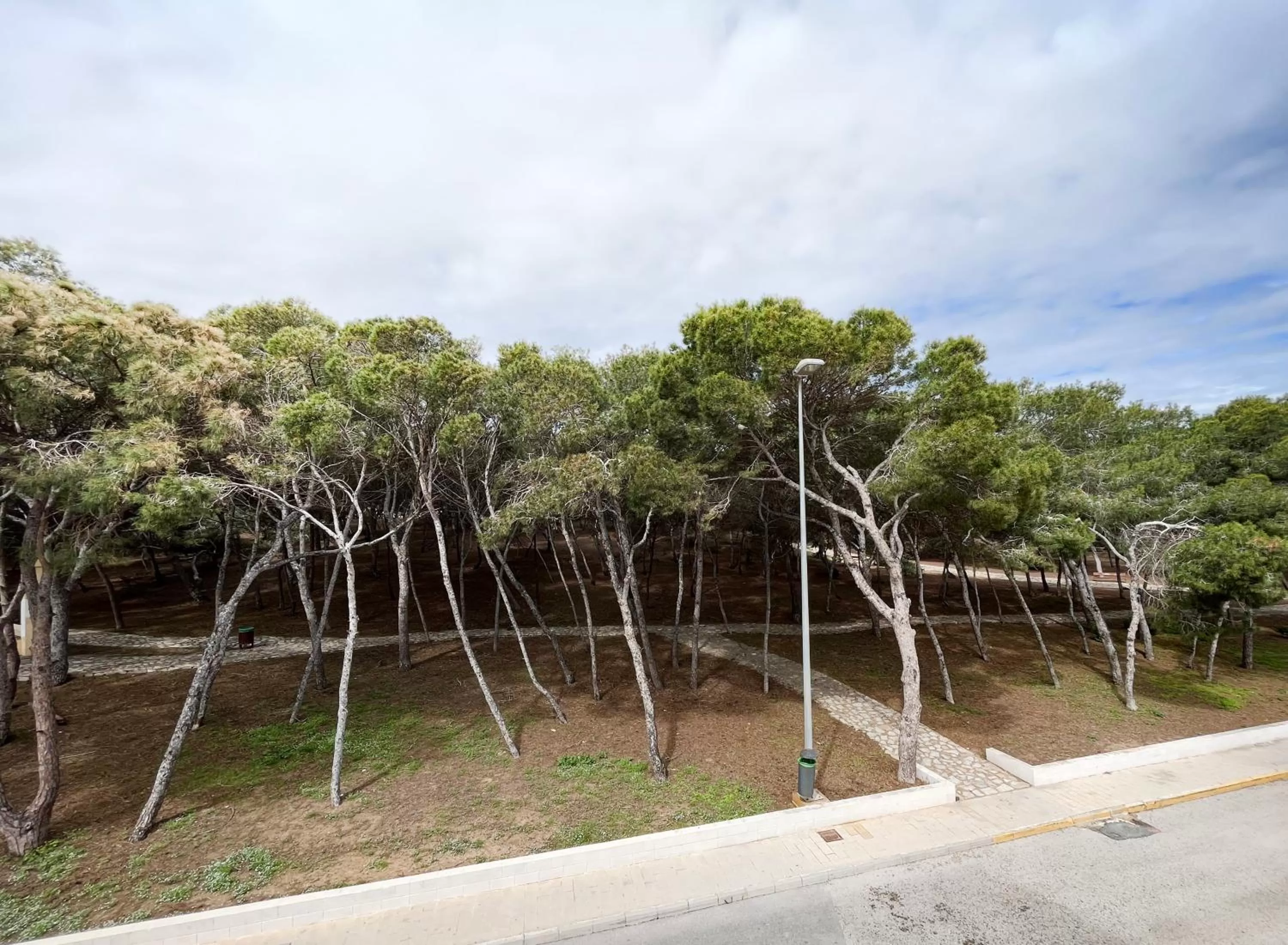 Off site in Hotel ParqueMar