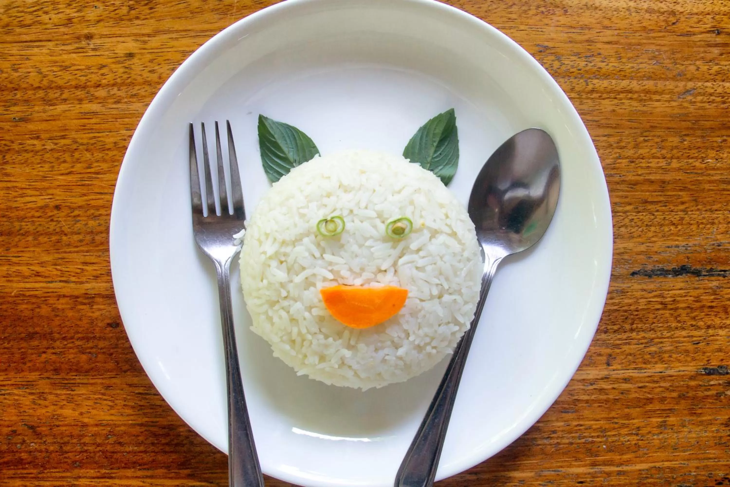 Food in Khao Sok Palmview Resort