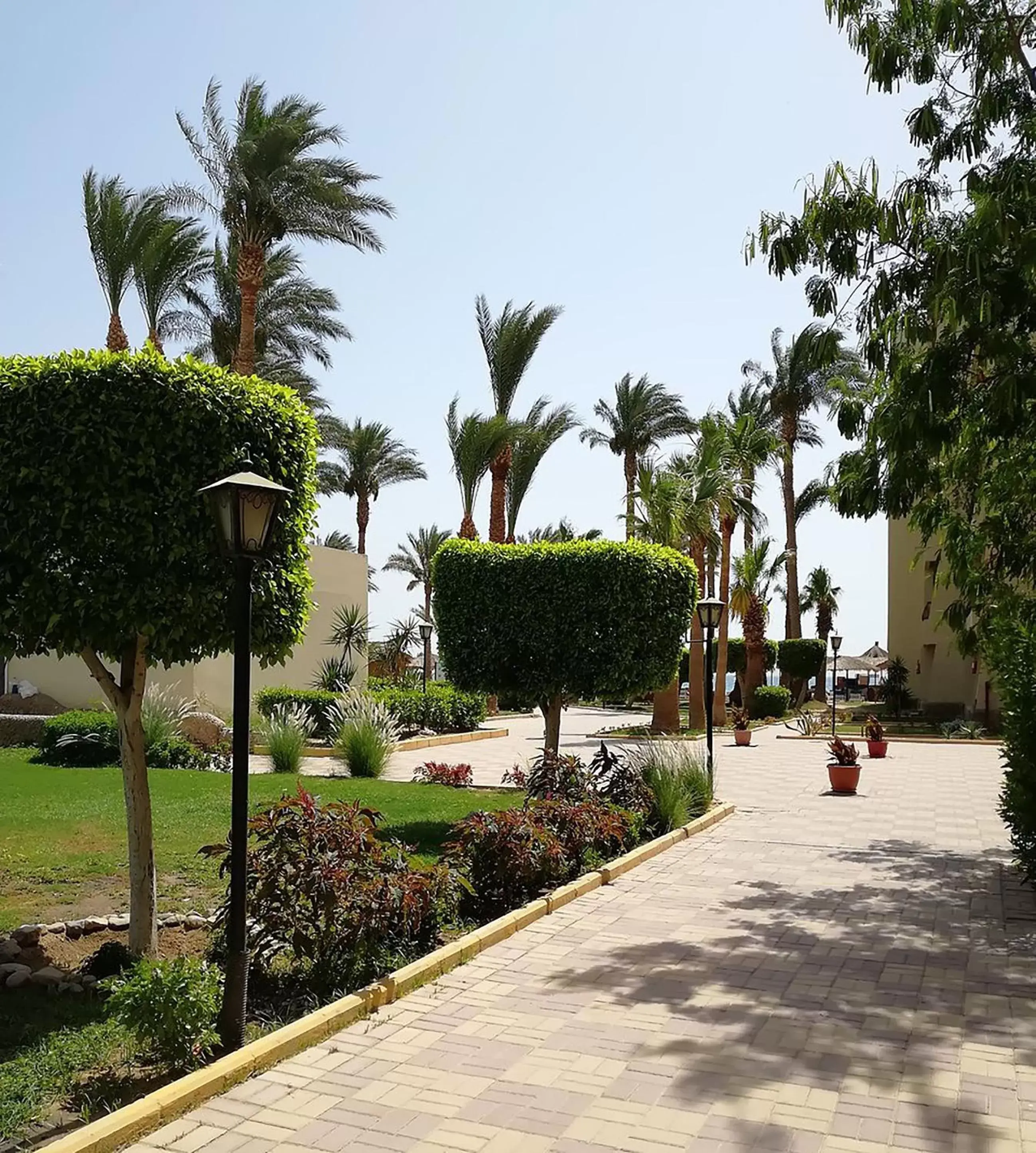 Garden in ZYA Regina Resort and Aqua Park Hurghada