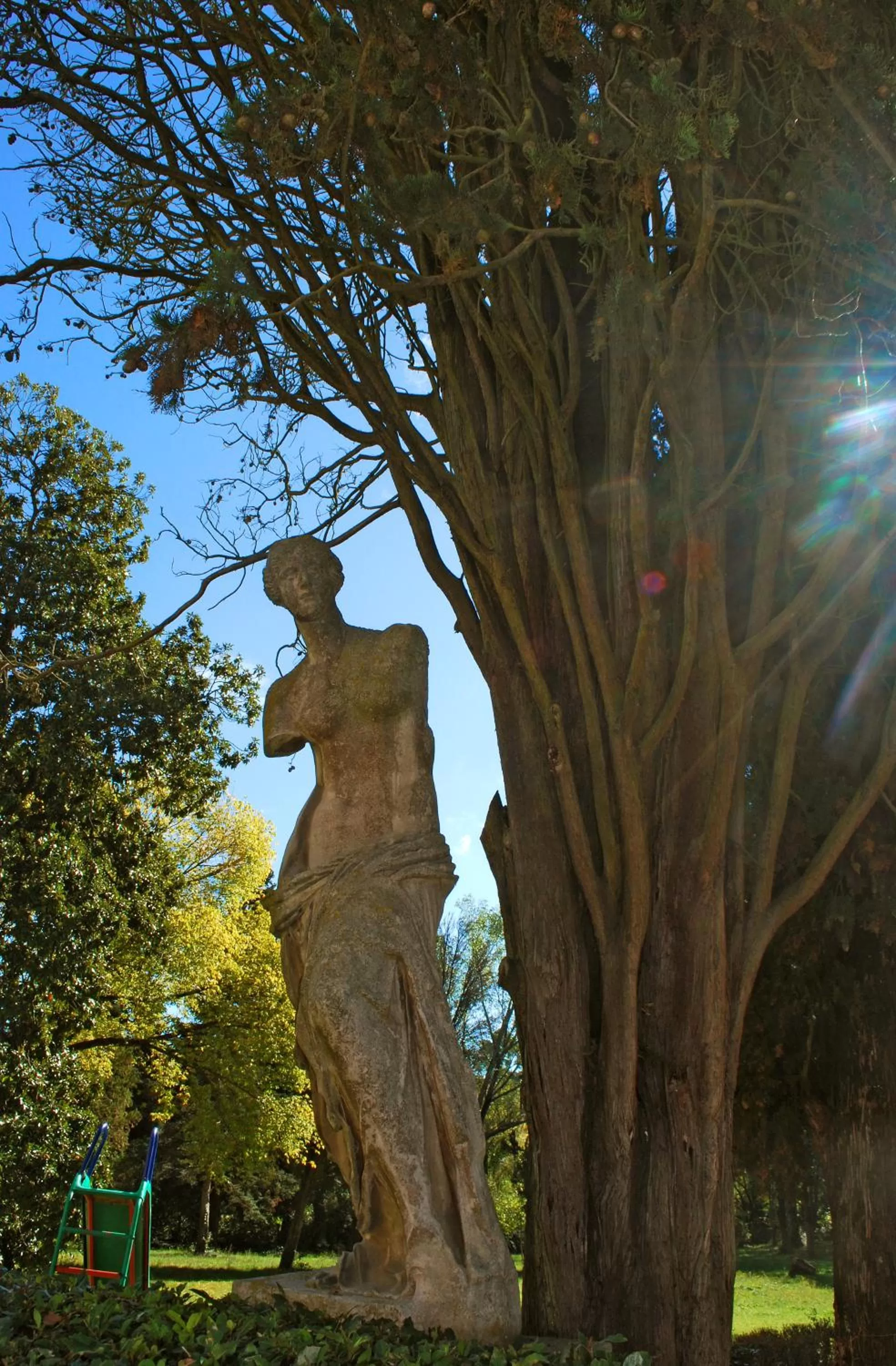 Other in Armonie di Villa Incontri B&B