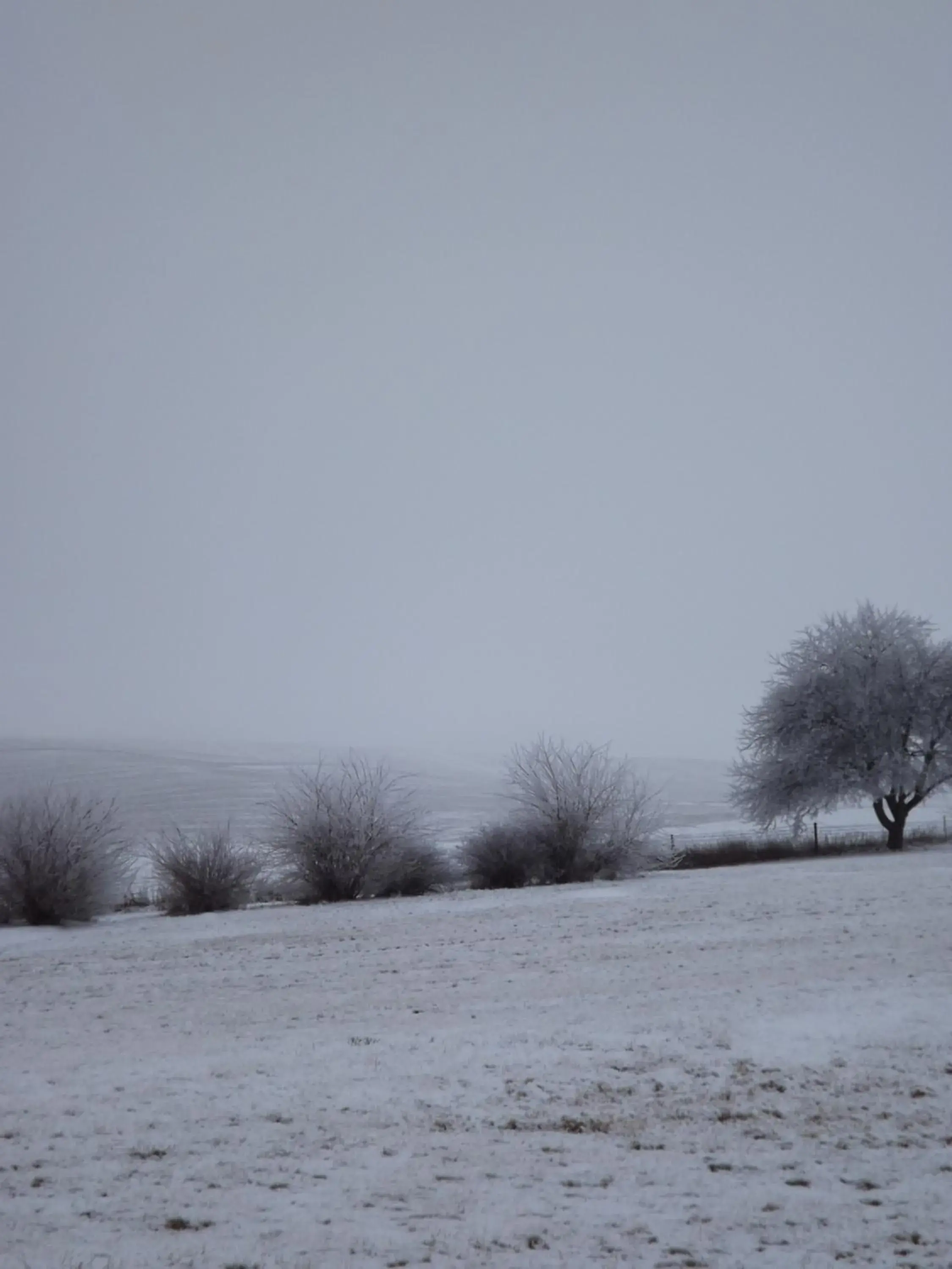 View (from property/room), Winter in Crest Country Inn