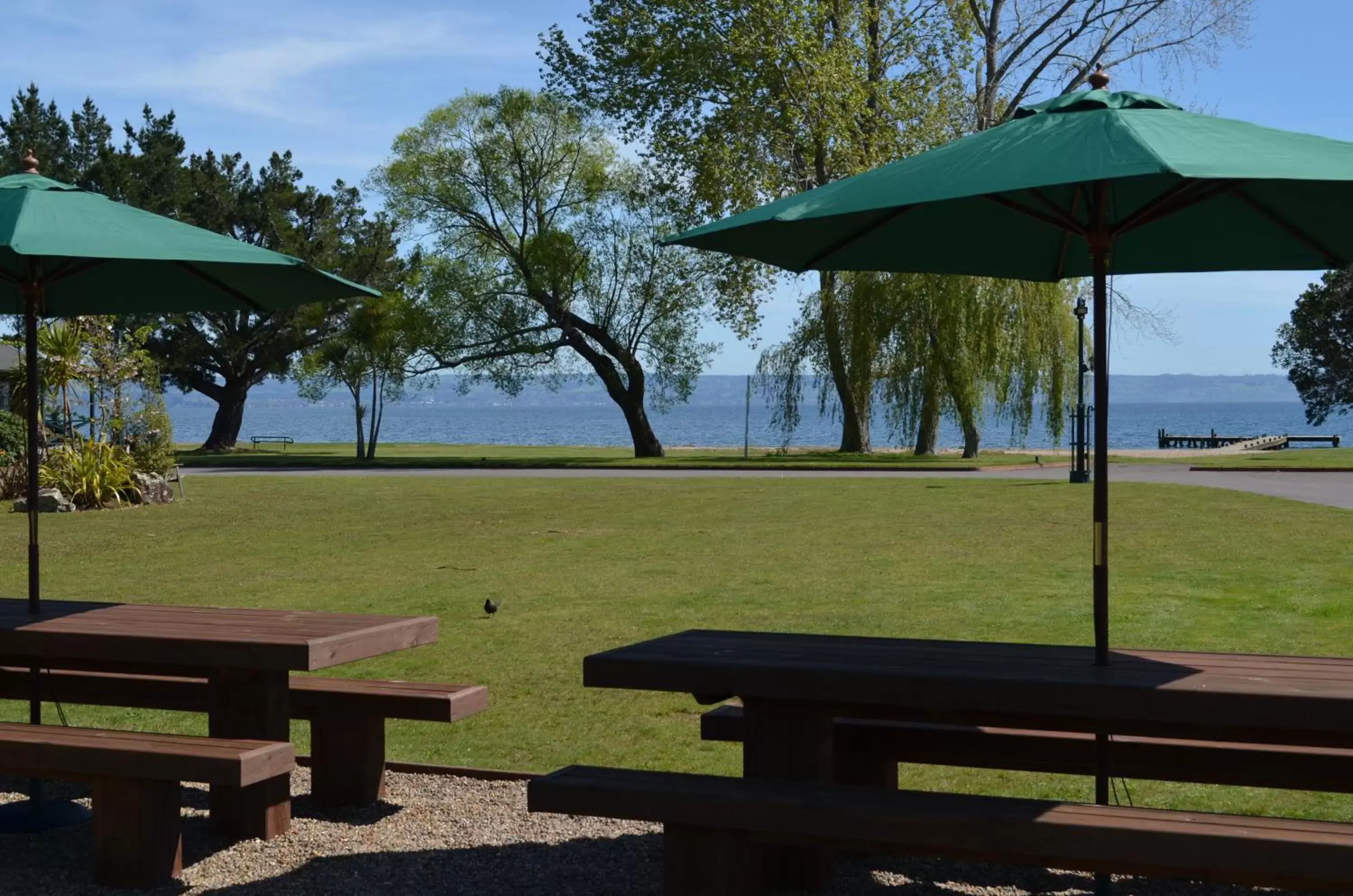 View (from property/room) in Cedarwood Lakeside Motel & Conference Venue