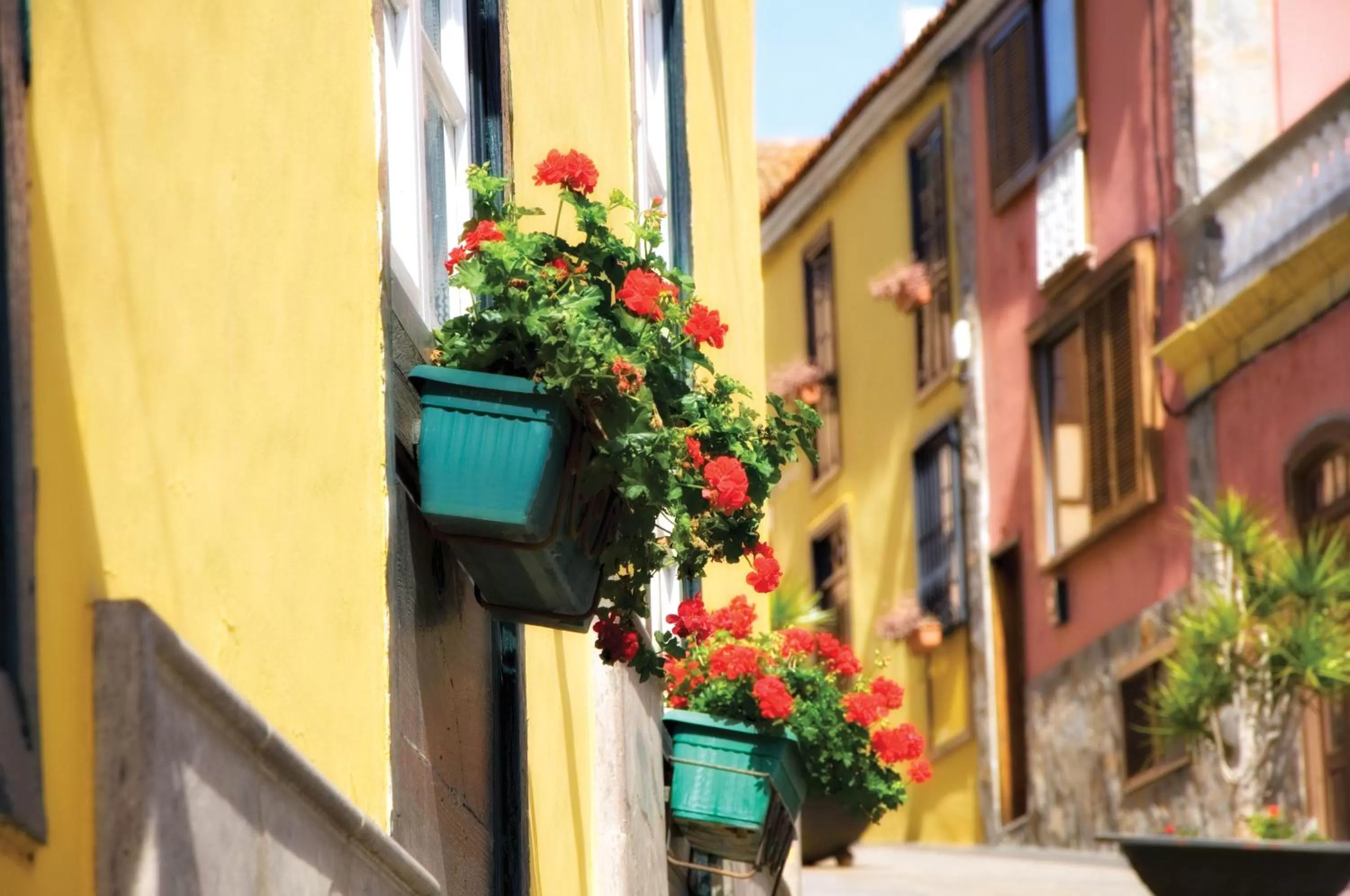 Facade/entrance in Hotel Rural Senderos de Abona
