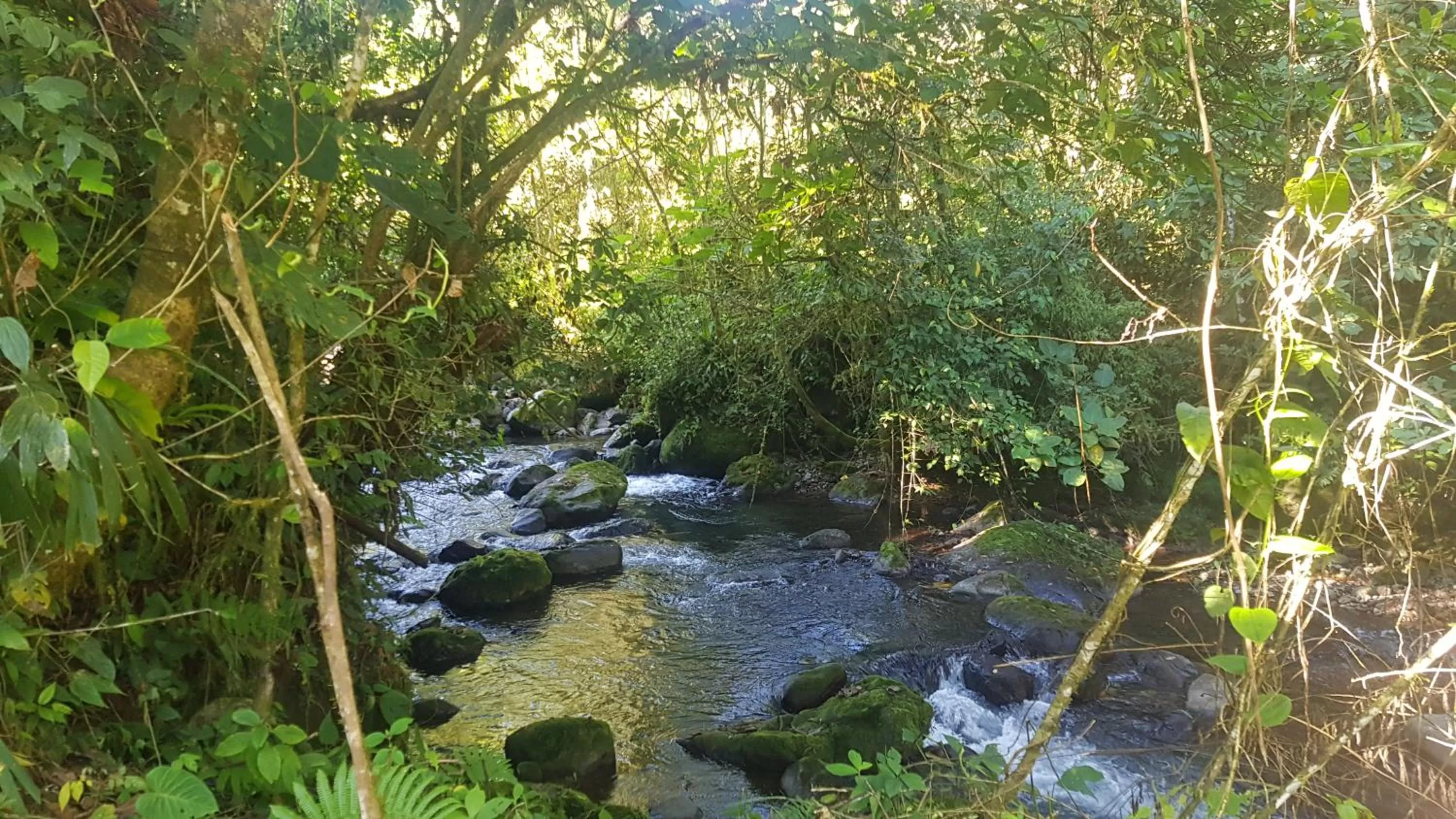 River view in Hotel Rivel - Adventure & Nature Retreat