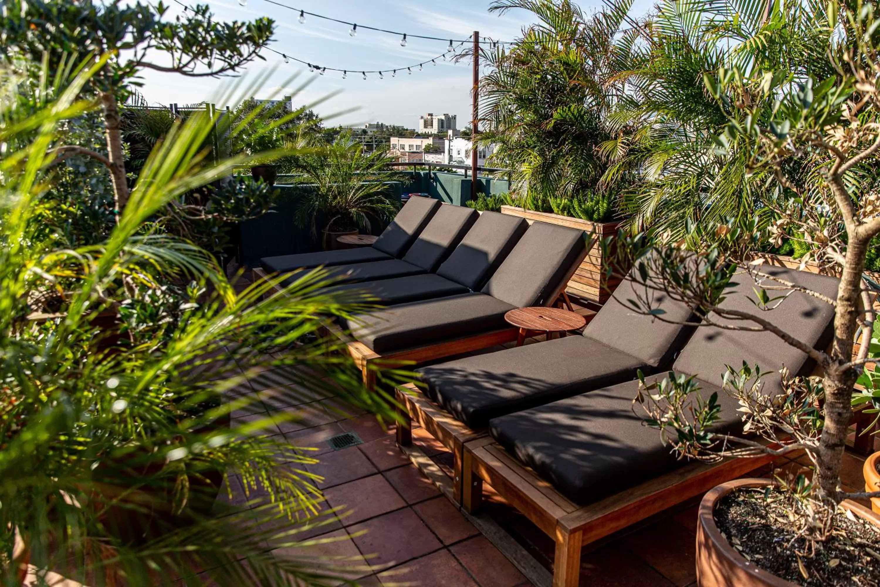 Patio in Life House, Little Havana