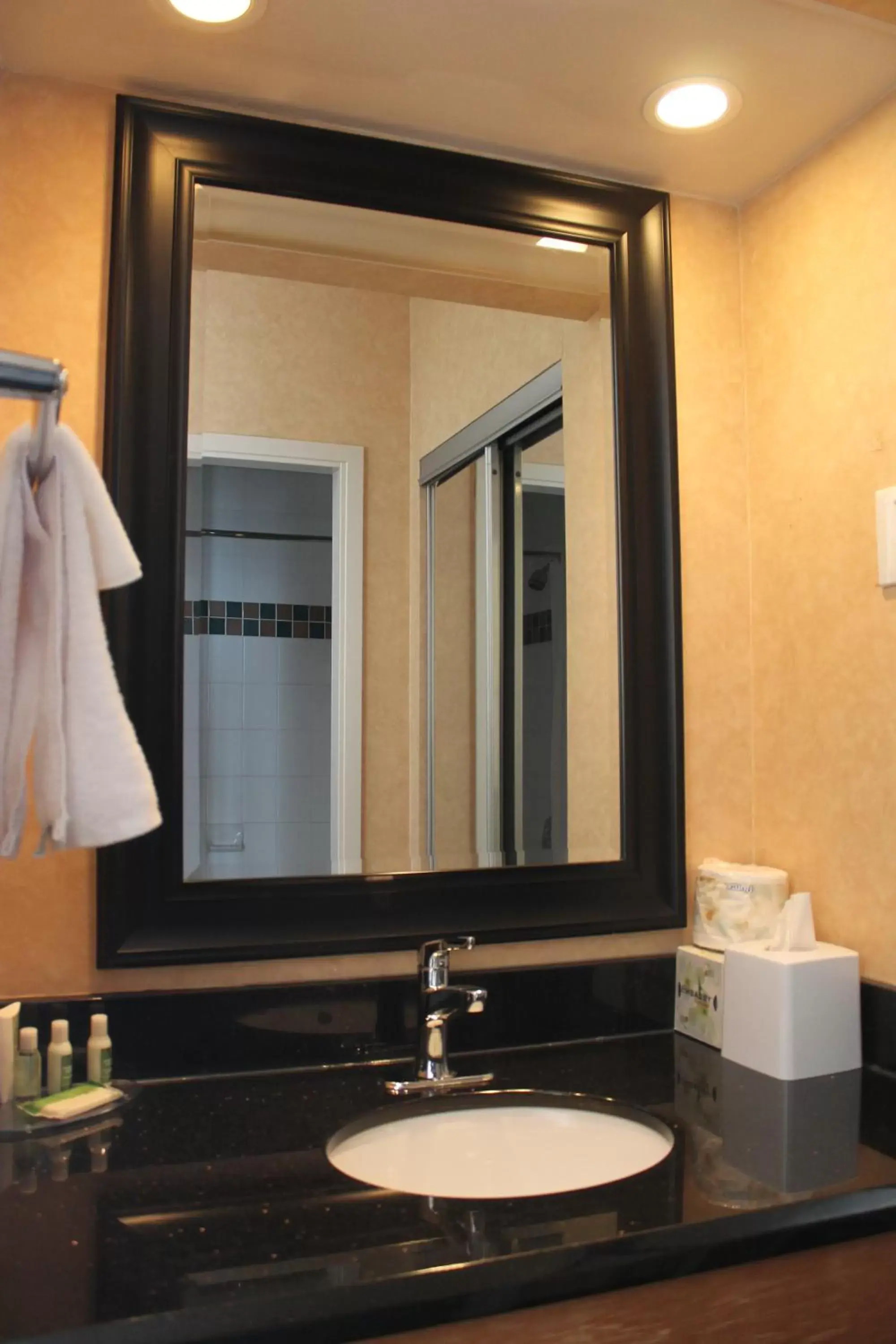 Bathroom in Best Western Plus Suites Downtown Calgary