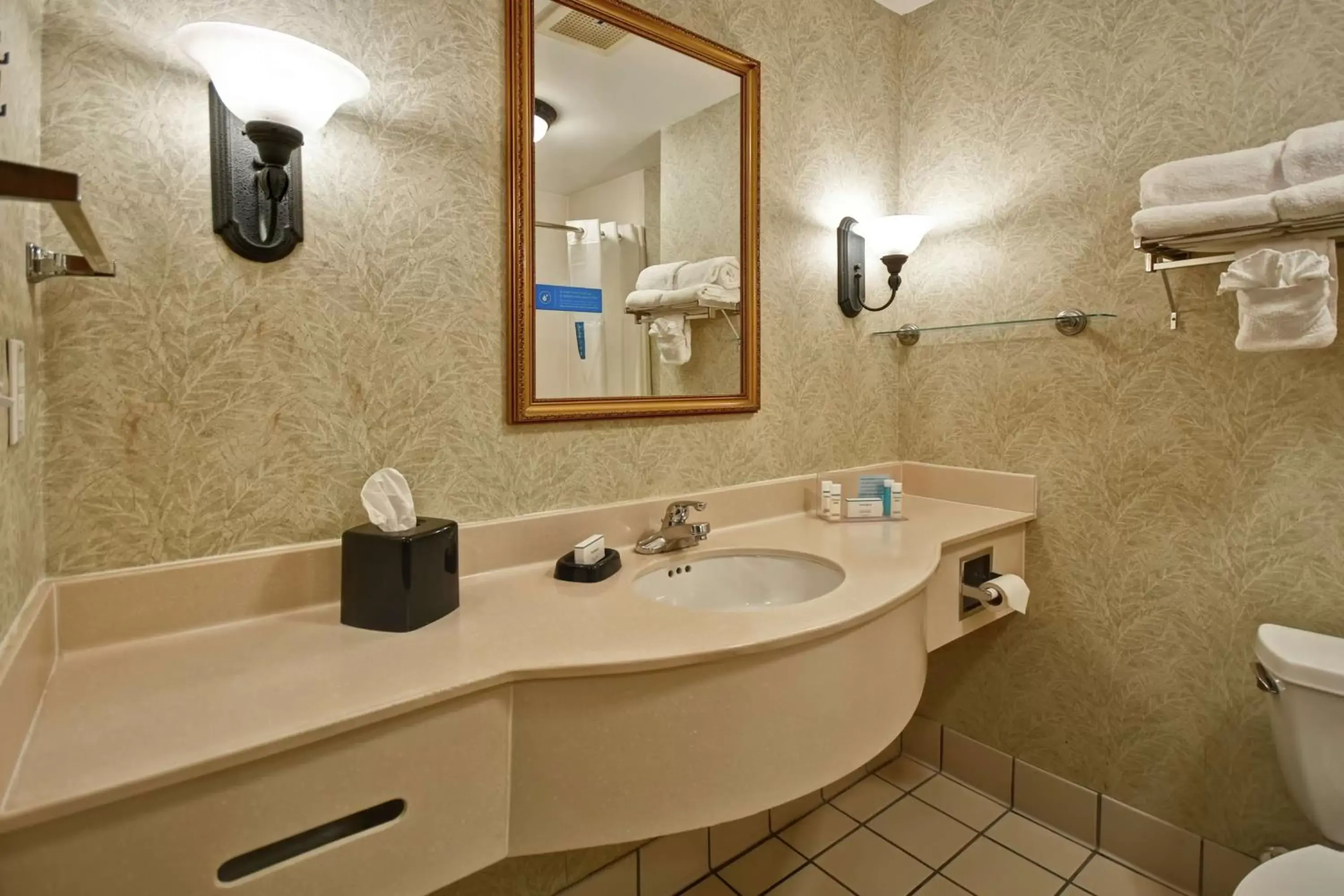 Bathroom in Hampton Inn & Suites Charleston-West Ashley