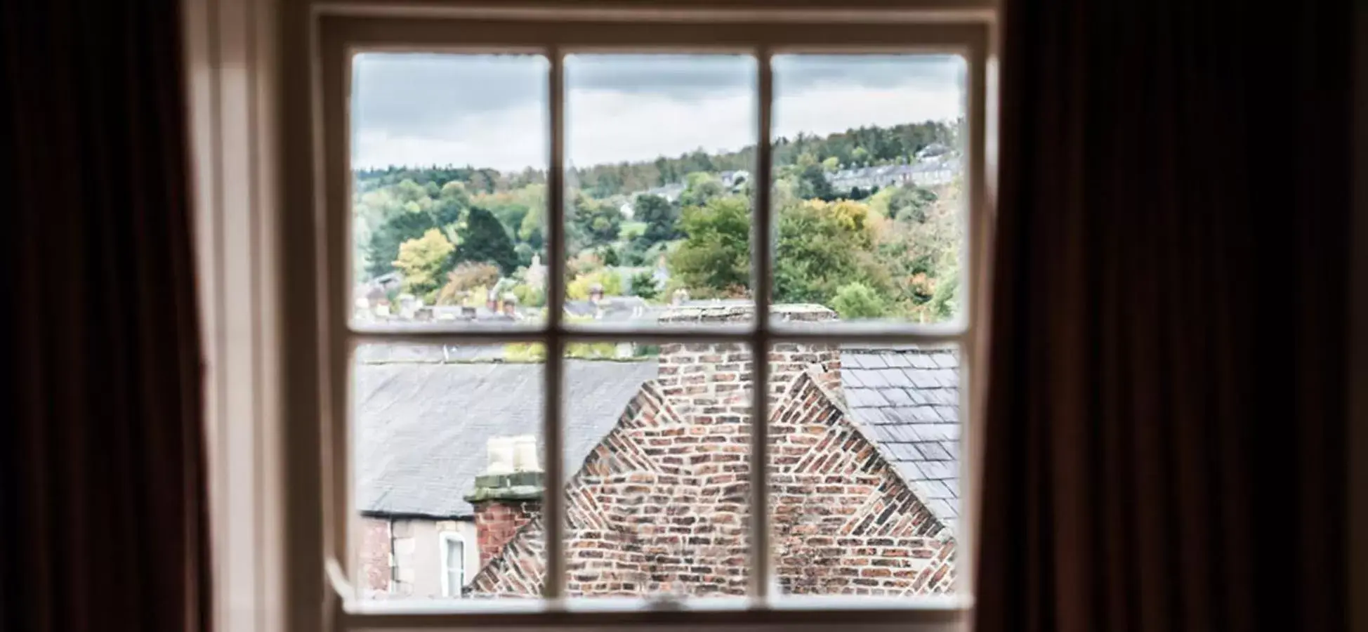 Natural landscape, View in The Beaumont Hexham