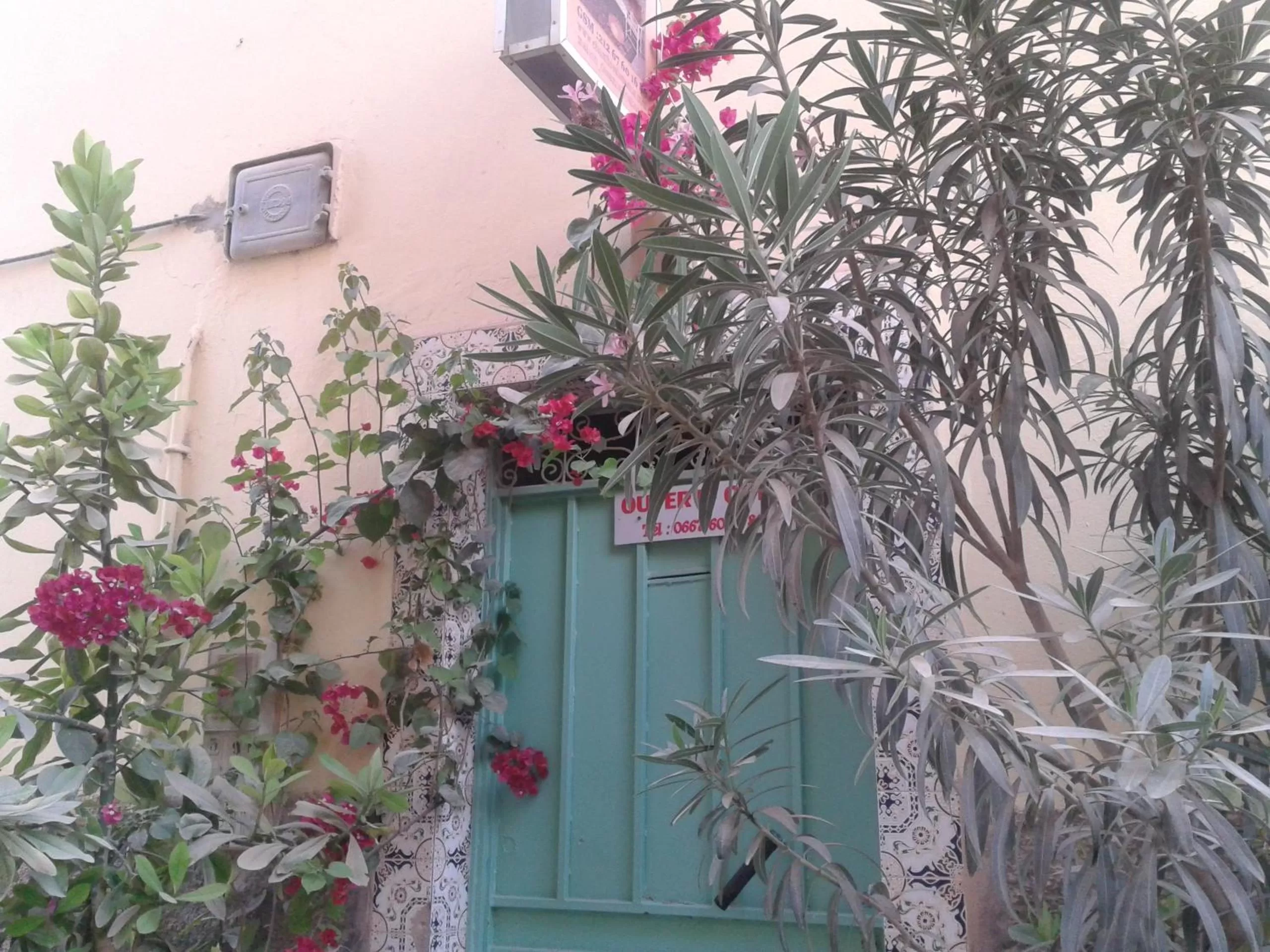 Other in Chambres d'Hôtes les amis