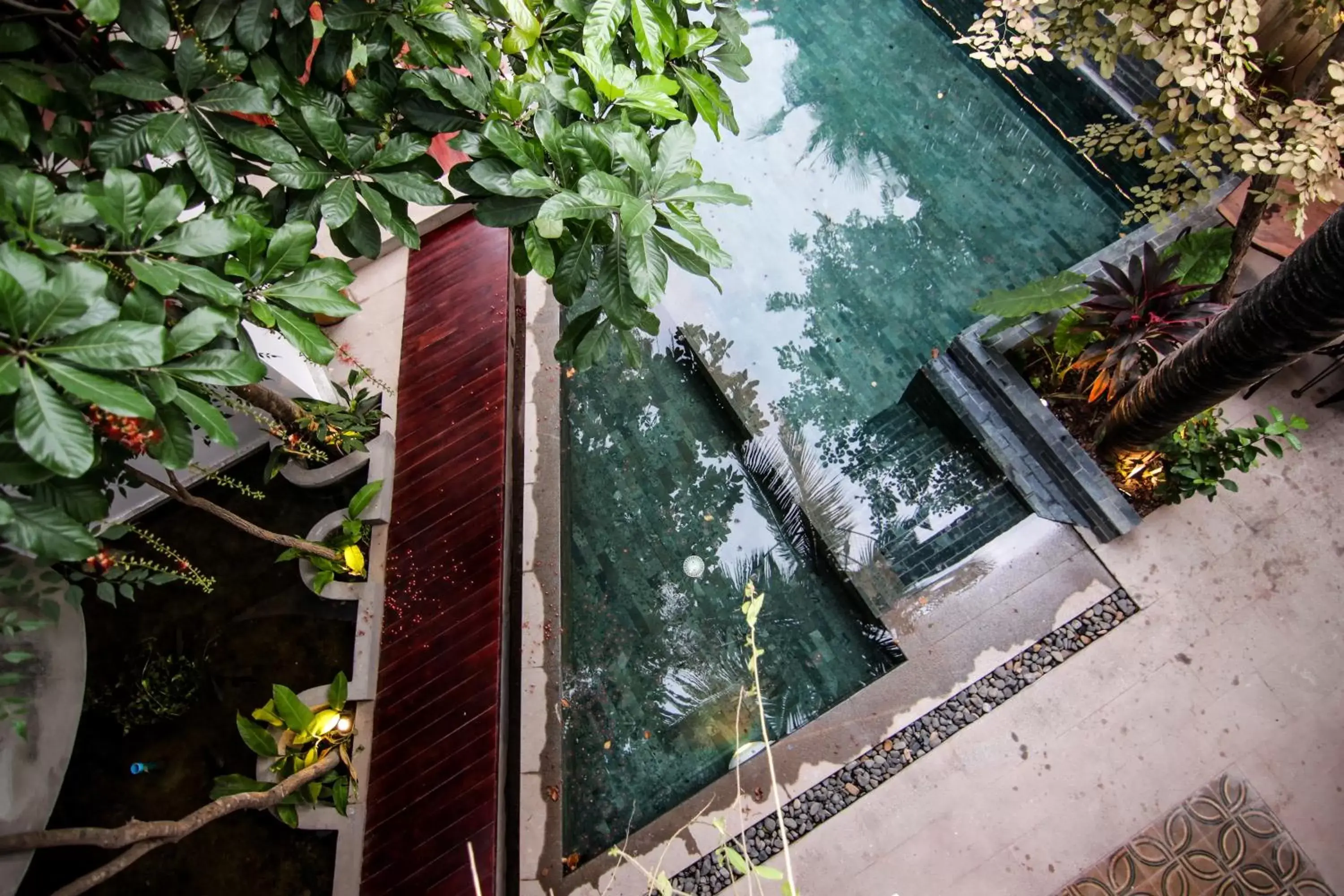 Pool view in Sarina Hotel & Villa Pool view in Sarina Hotel & Villa