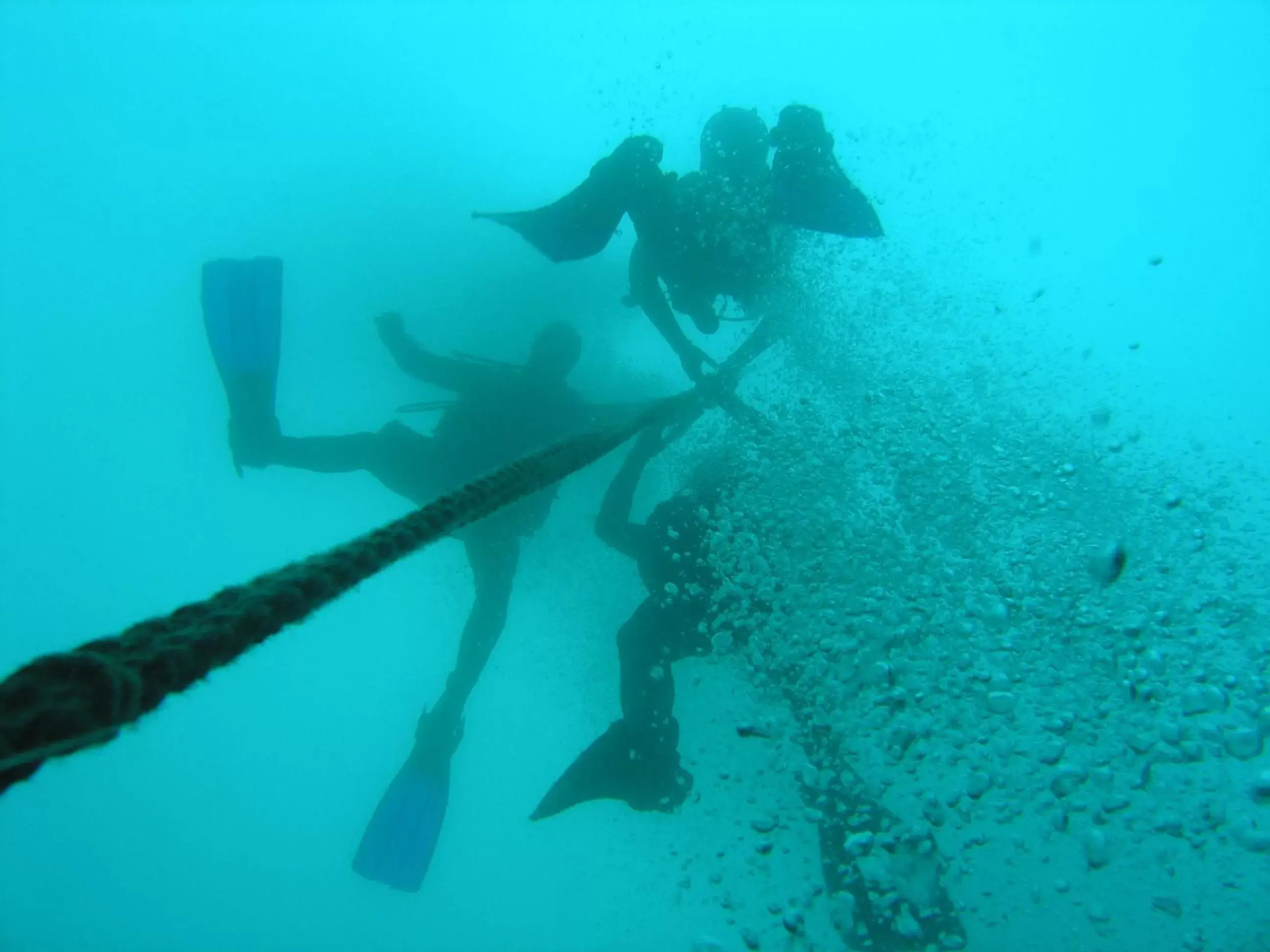 Diving, Snorkeling/Diving in PuraVida Divehouse