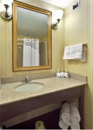 Bathroom in Holiday Inn Express Hotels Grants - Milan, an IHG Hotel
