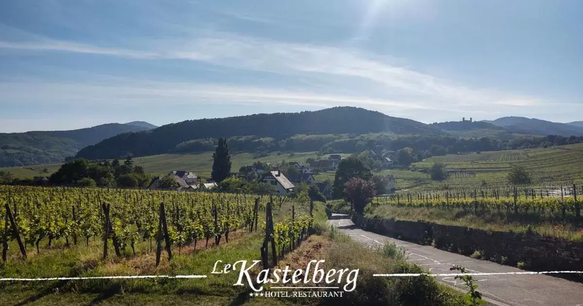 Natural landscape in Hôtel Restaurant Le Kastelberg, The Originals Boutique