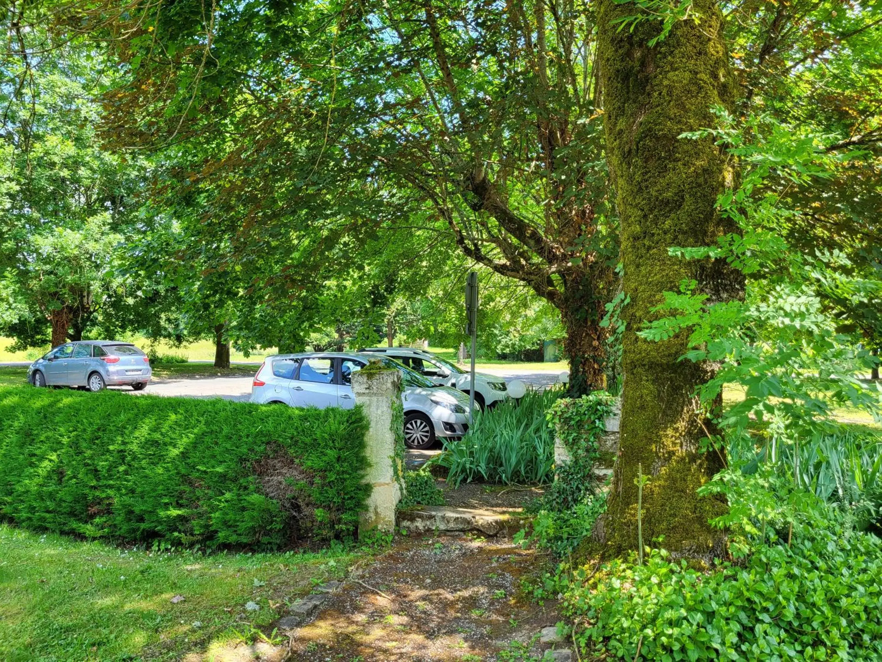 Garden in Hôtel La Flambée