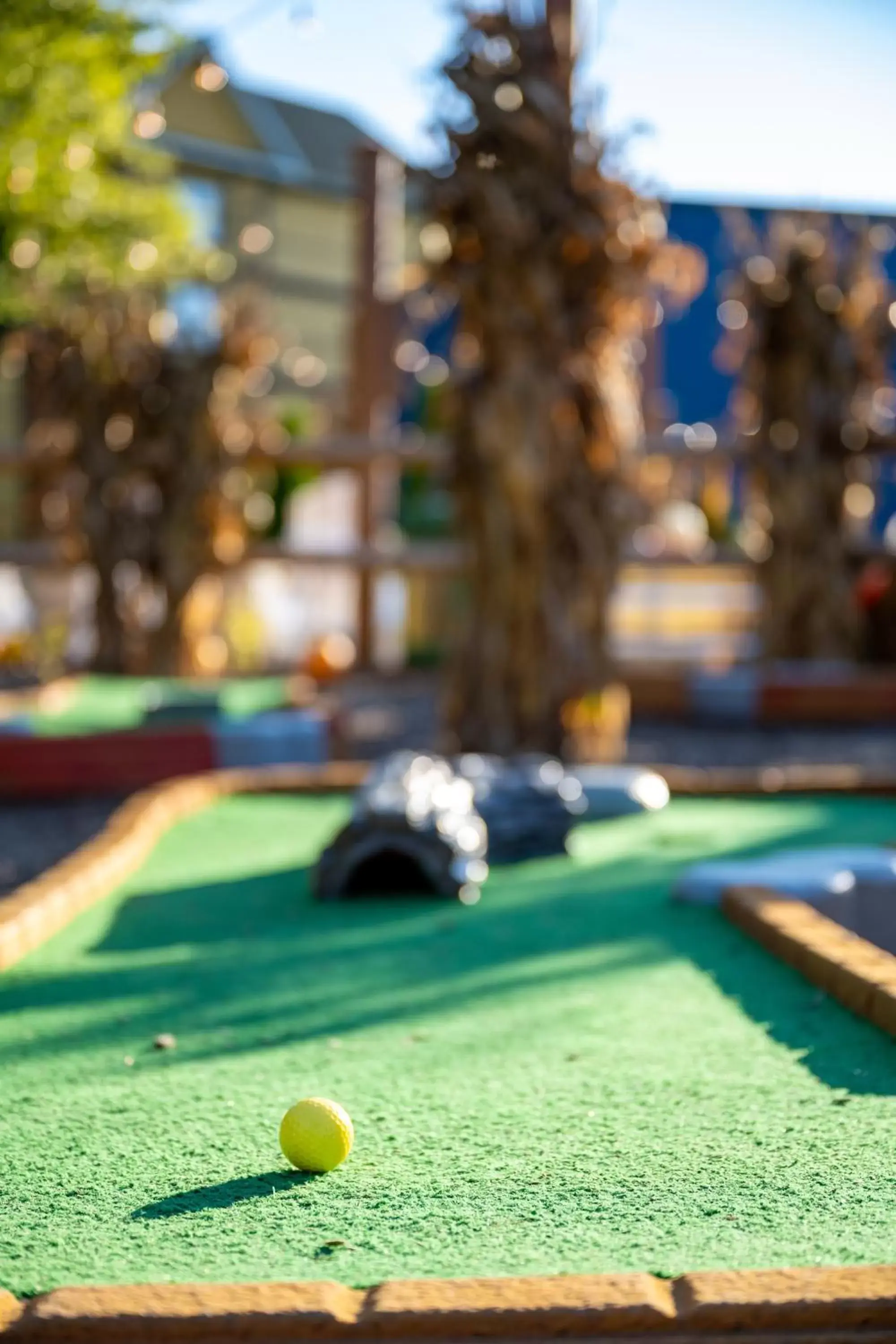 Minigolf, Billiards in The Resort at Governor's Crossing