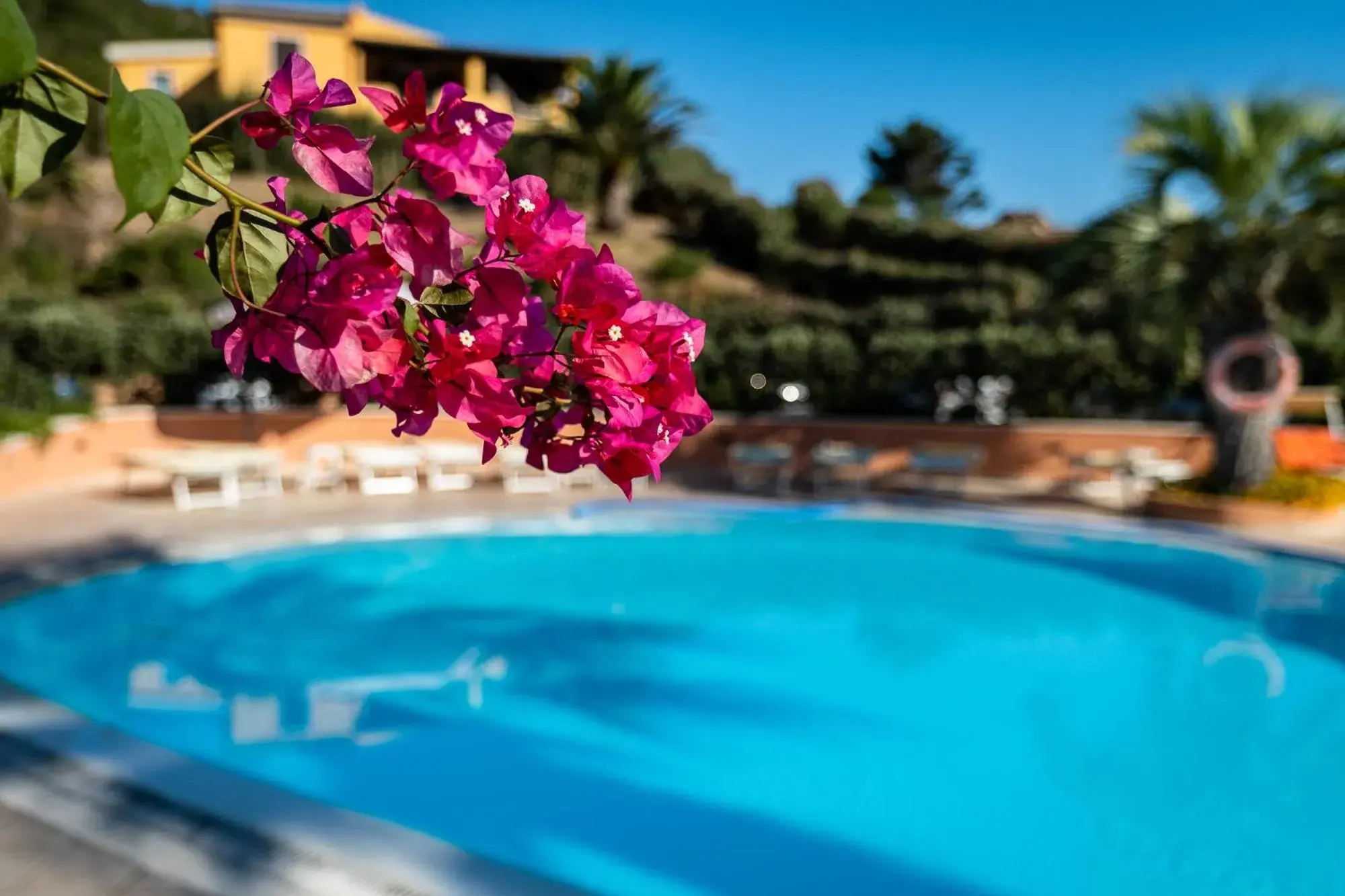 Decorative detail, Swimming Pool in Hotel Corallaro