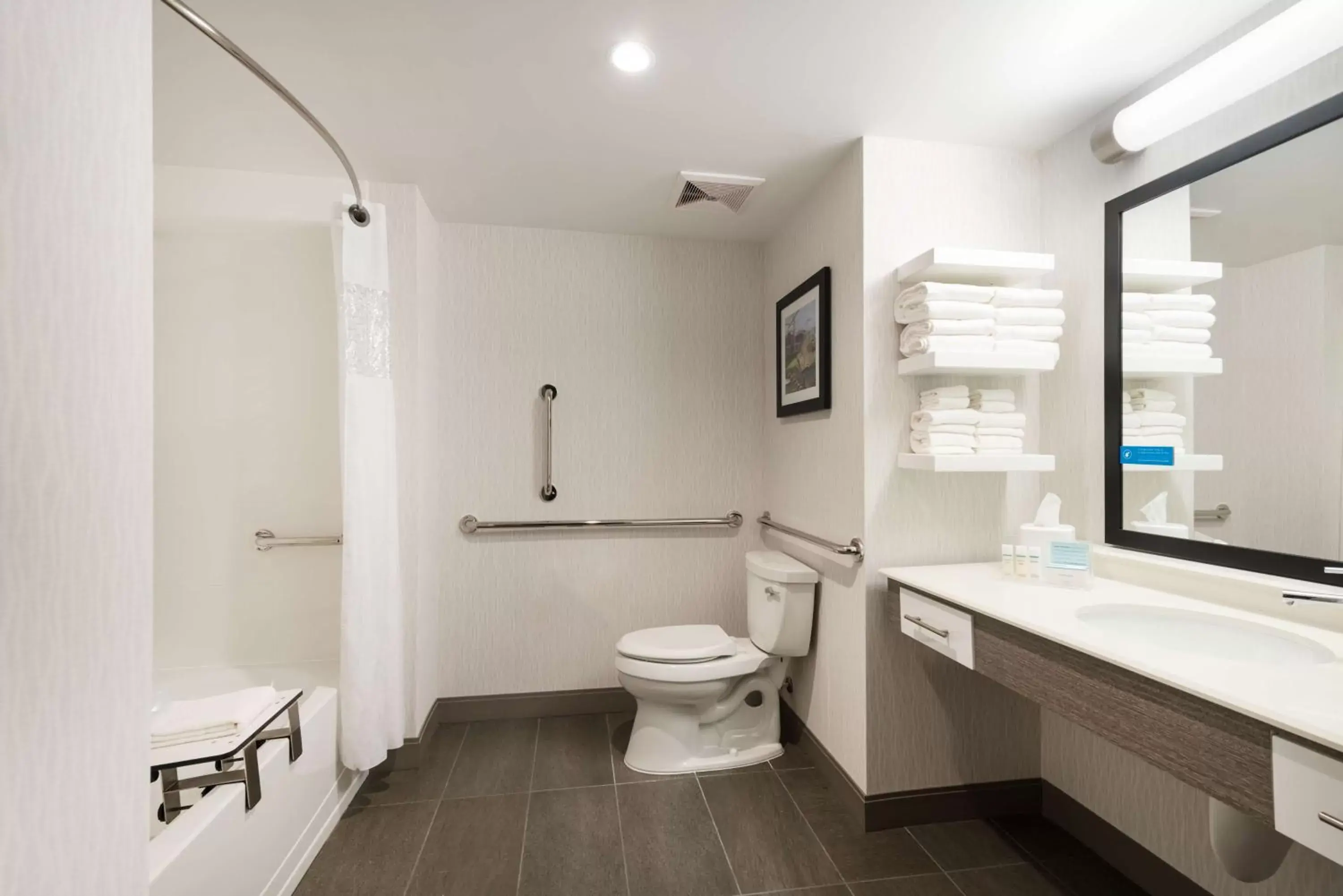 Bathroom in Hampton Inn & Suites Miami Wynwood Design District, FL
