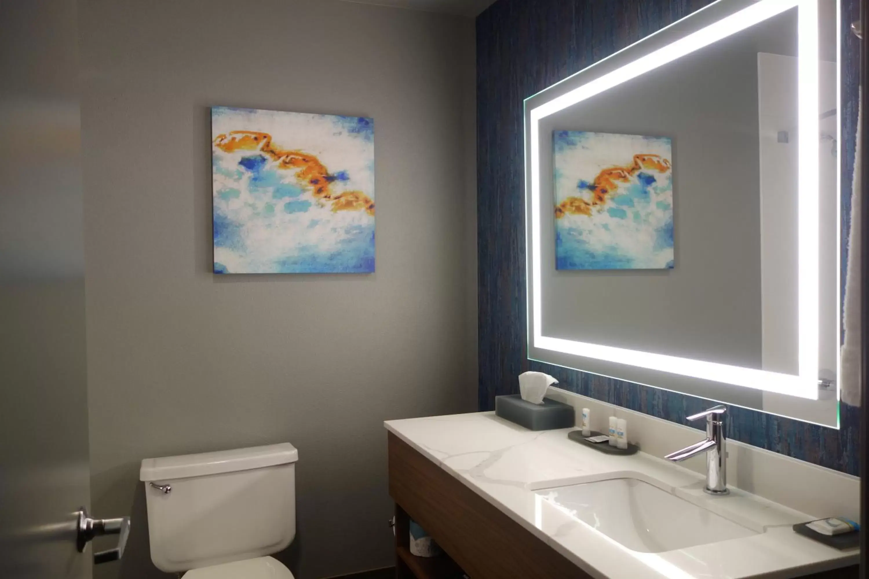 Toilet, Bathroom in La Quinta Inn & Suites by Wyndham Springfield