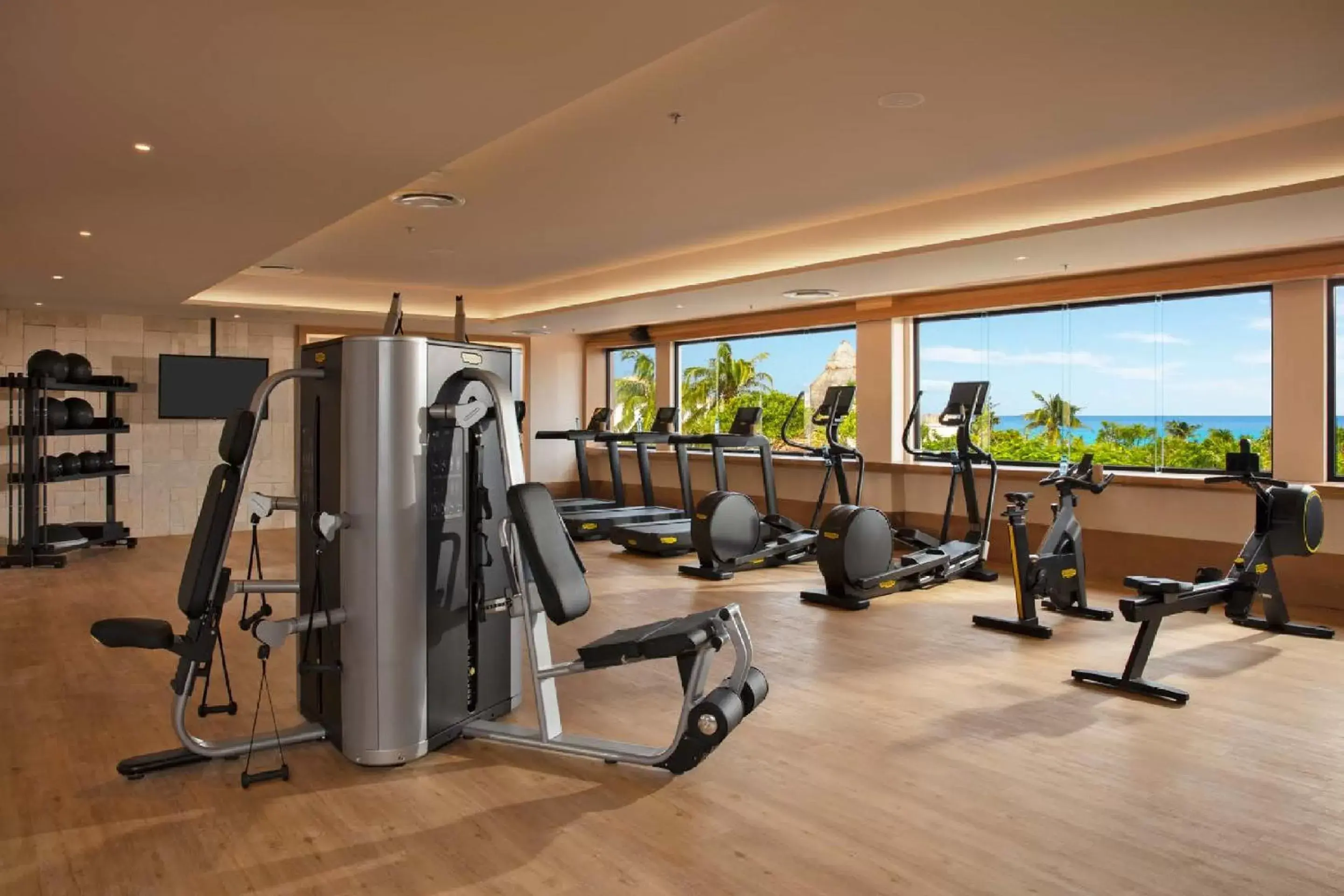 Fitness centre/facilities, Fitness Center/Facilities in Dreams Aventuras Riviera Maya