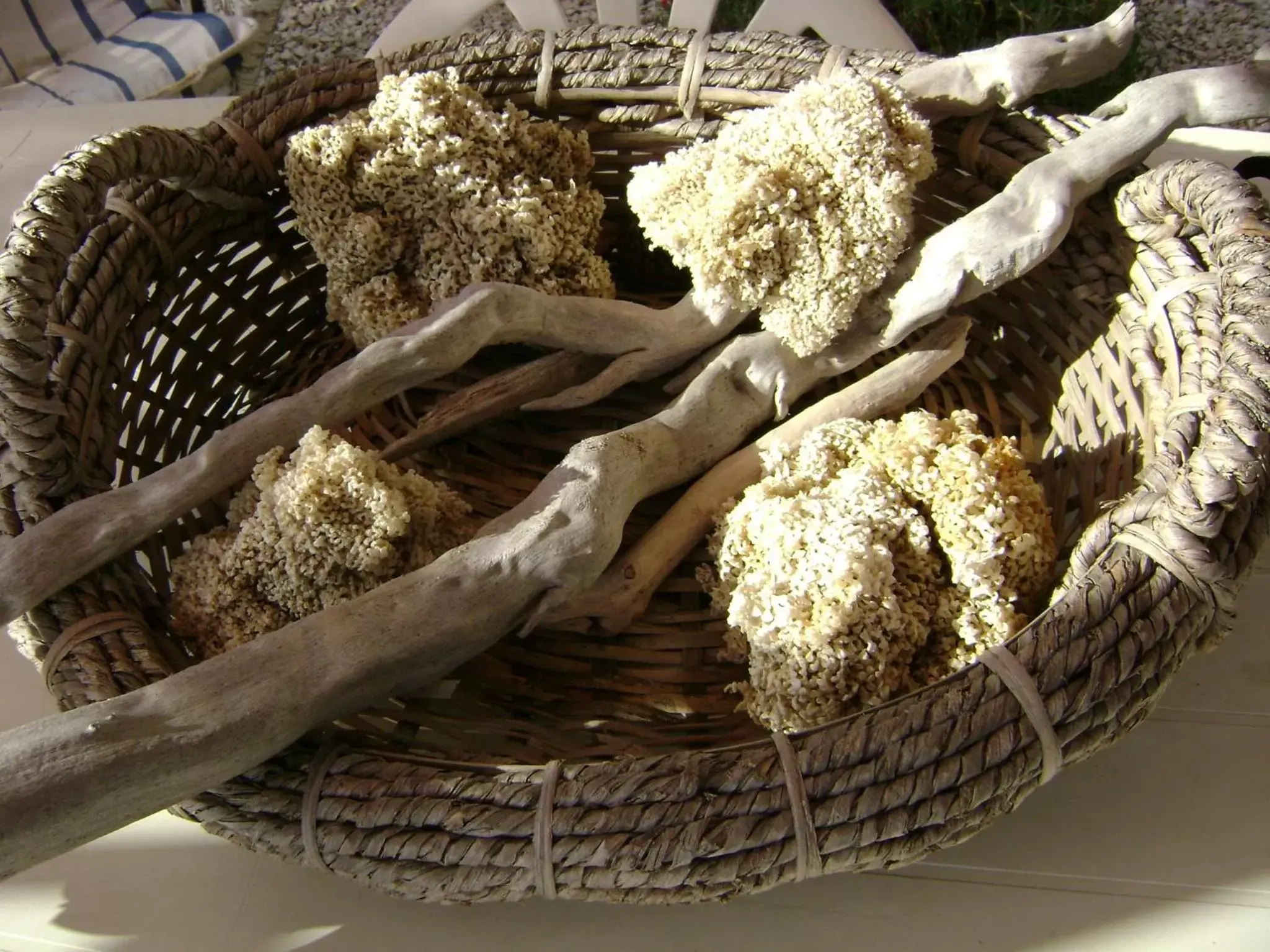 Decorative detail, Food in B&B Villa Méditerranée