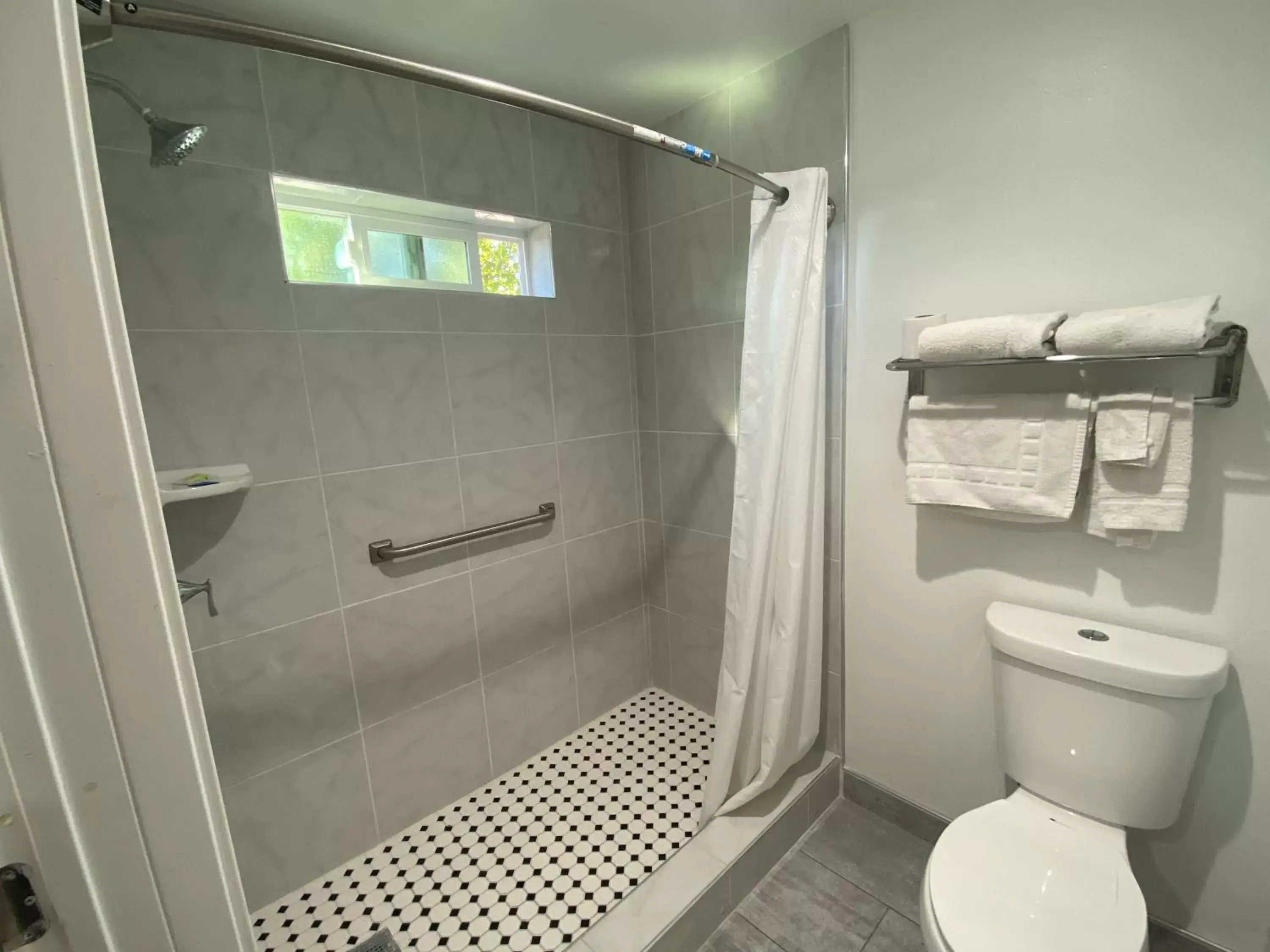 Shower, Bathroom in Royale Inn Motel