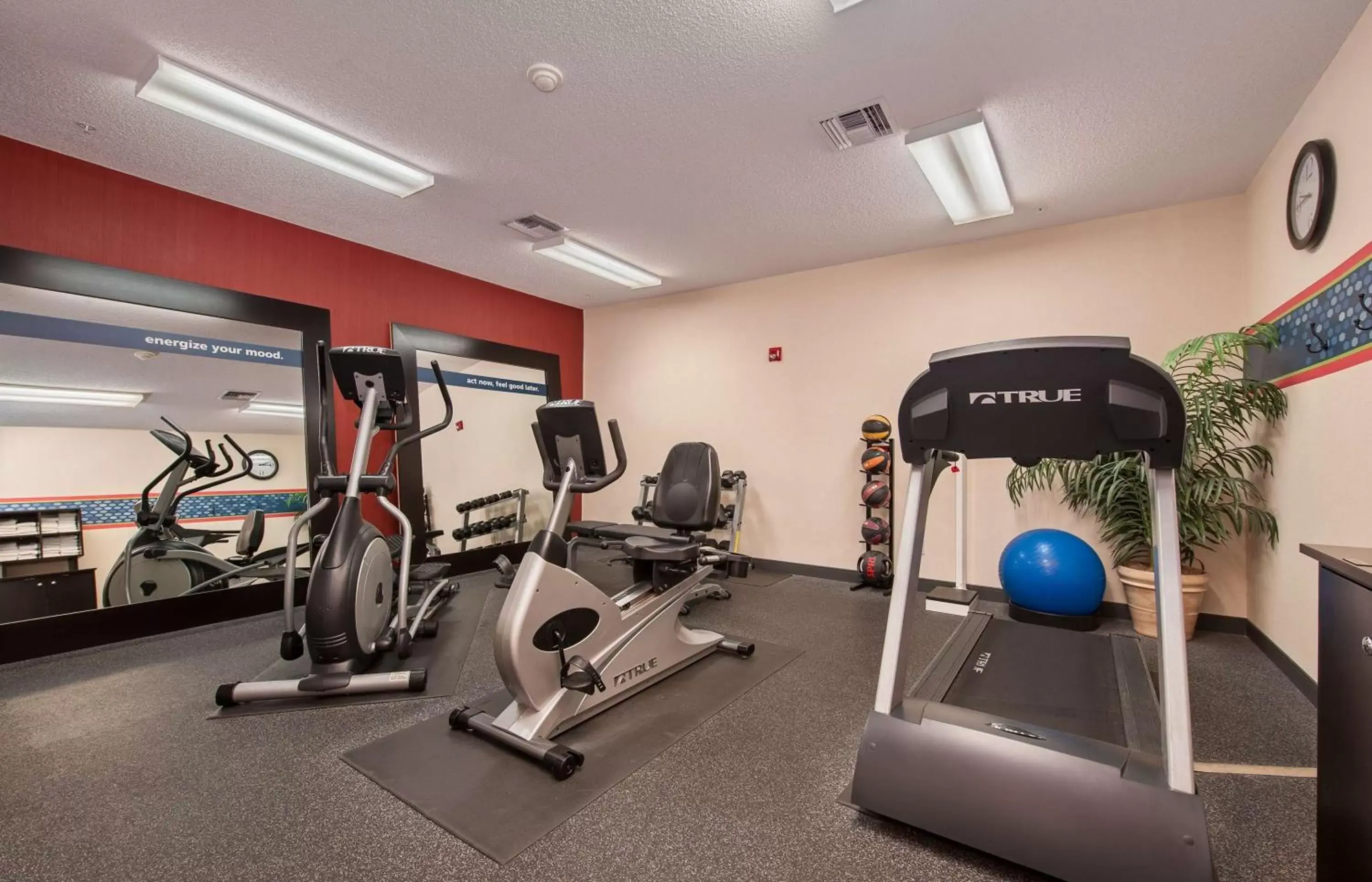 Fitness centre/facilities, Fitness Center/Facilities in Hampton Inn Niceville-Elgin Air Force Base