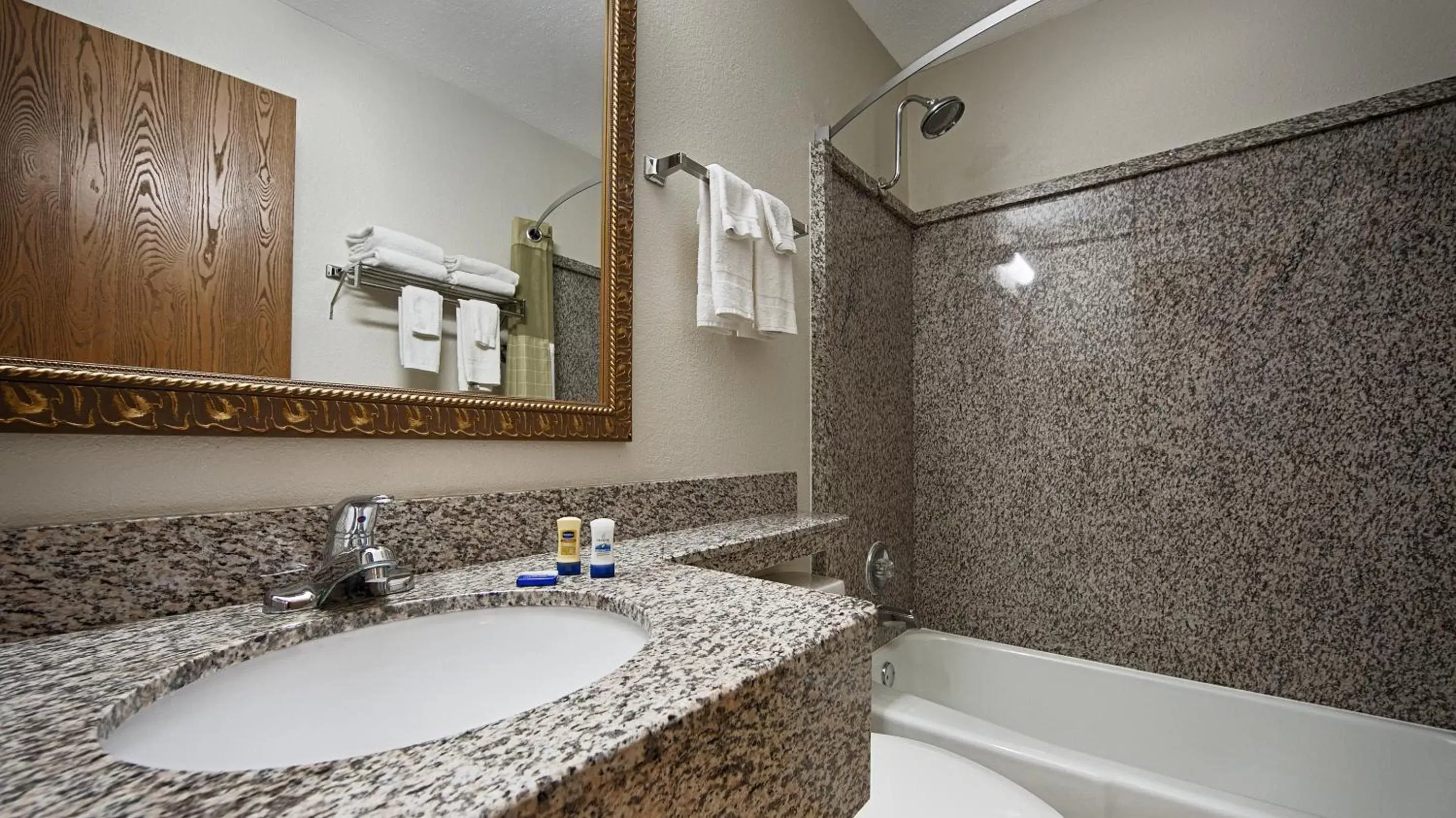 Bathroom in Best Western Mount Pleasant Inn