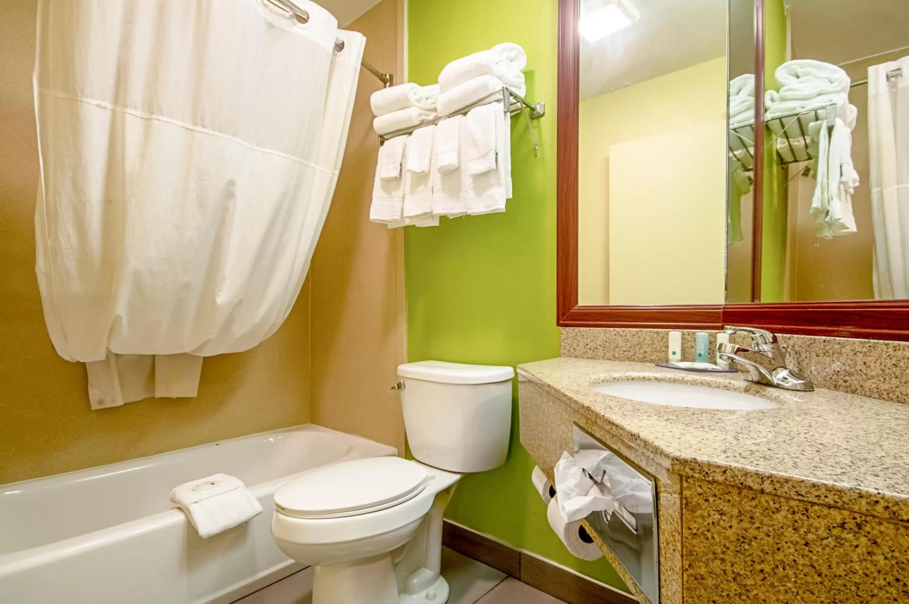 Bathroom in Quality Inn & Suites Glenmont - Albany South