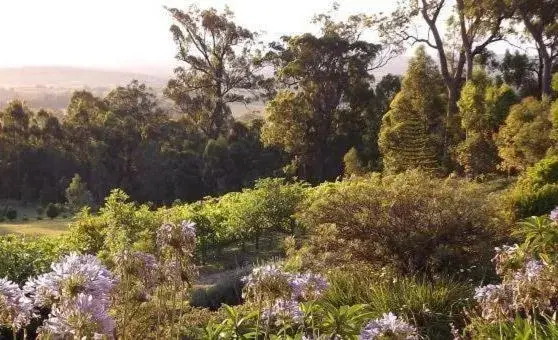 Garden in Wallaby Ridge Retreat