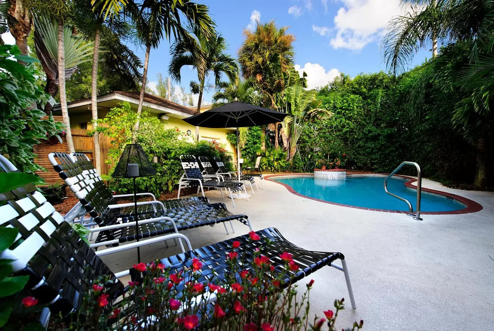 Swimming Pool in Mango Inn Bed and Breakfast