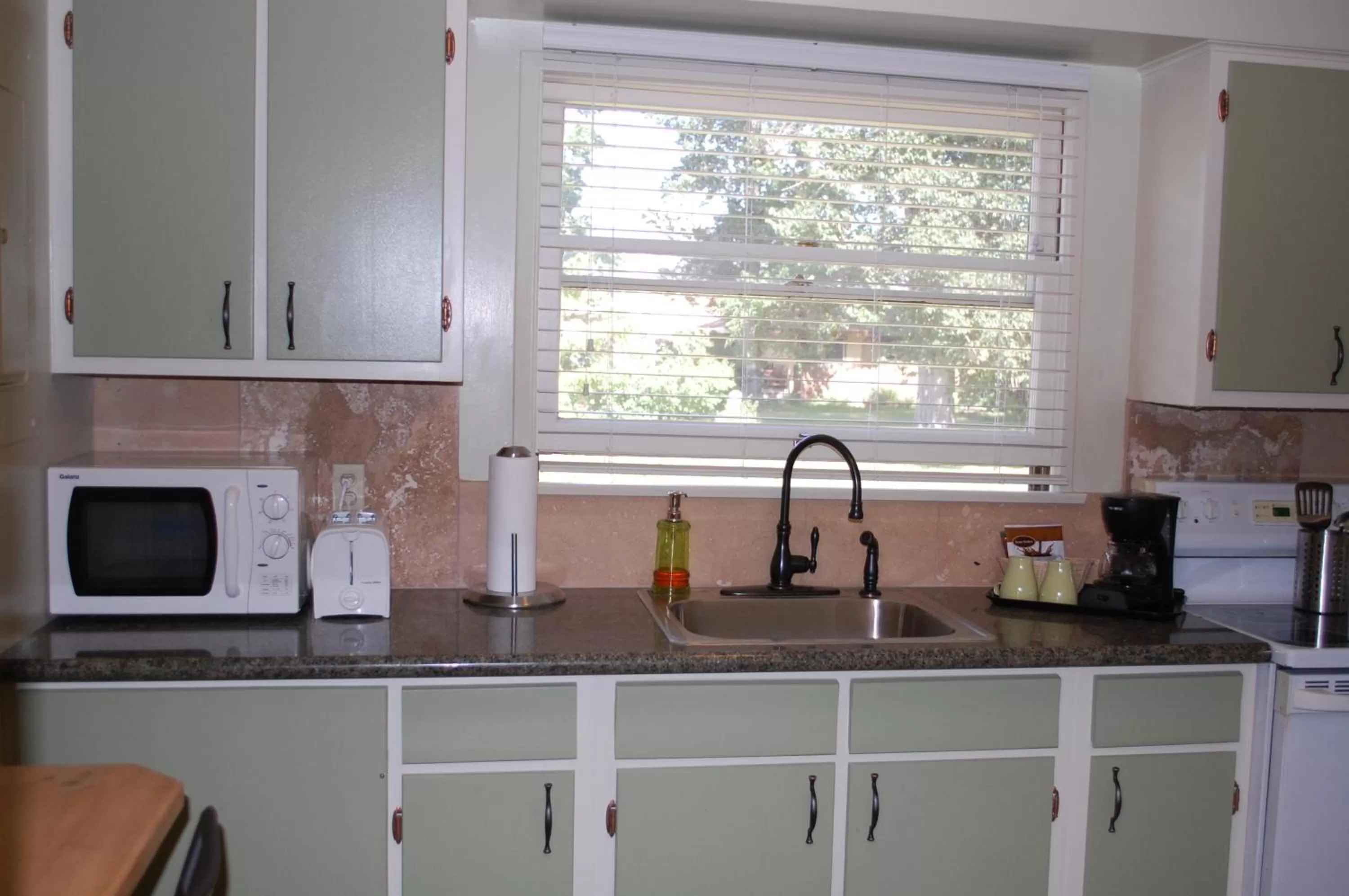 Kitchen or kitchenette in Trees Motel