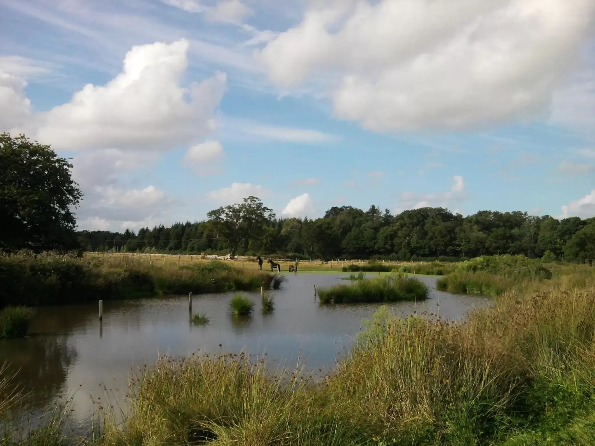 Natural Landscape in La Petite Bérais