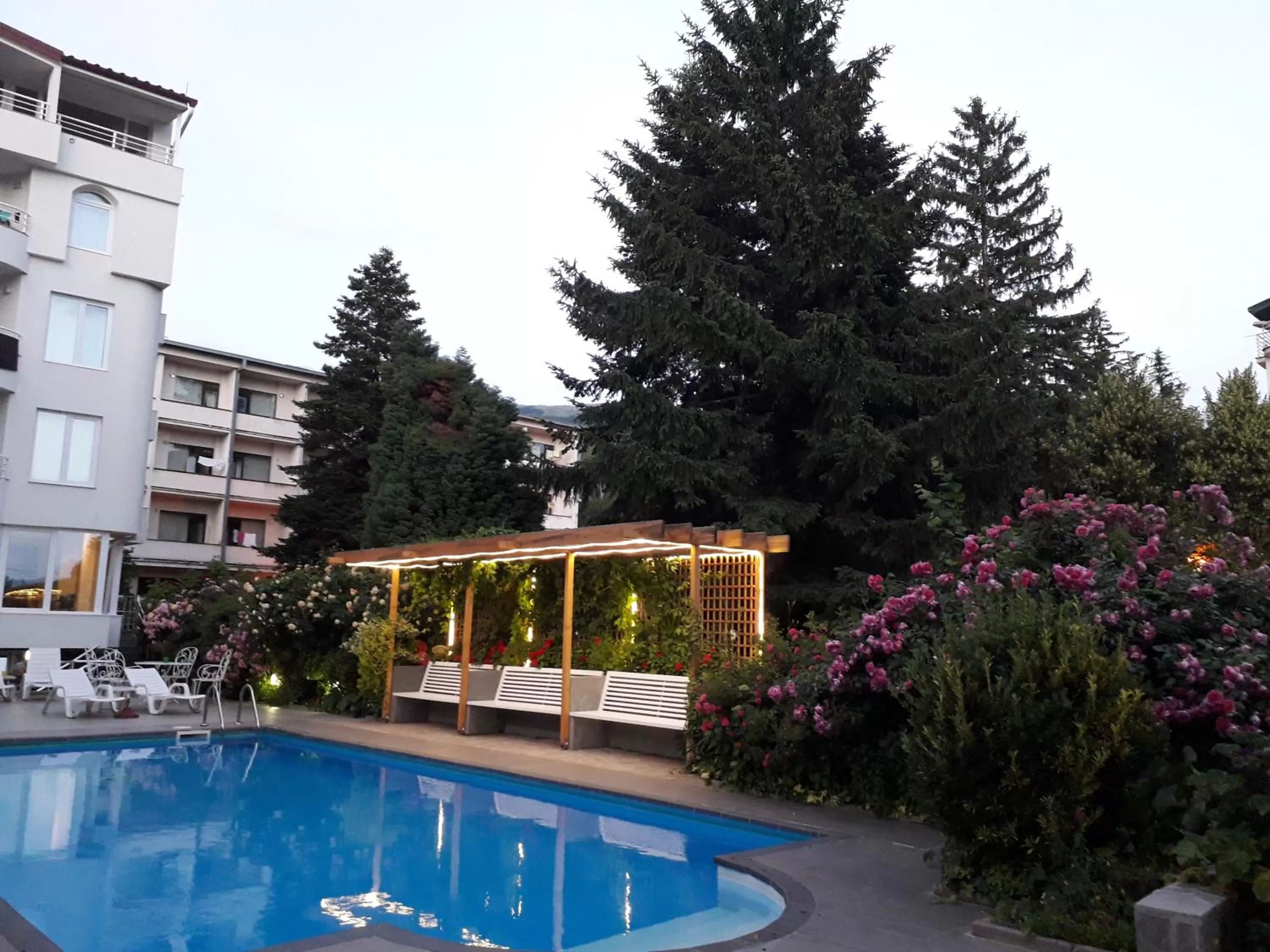 Garden in Villa Jordan