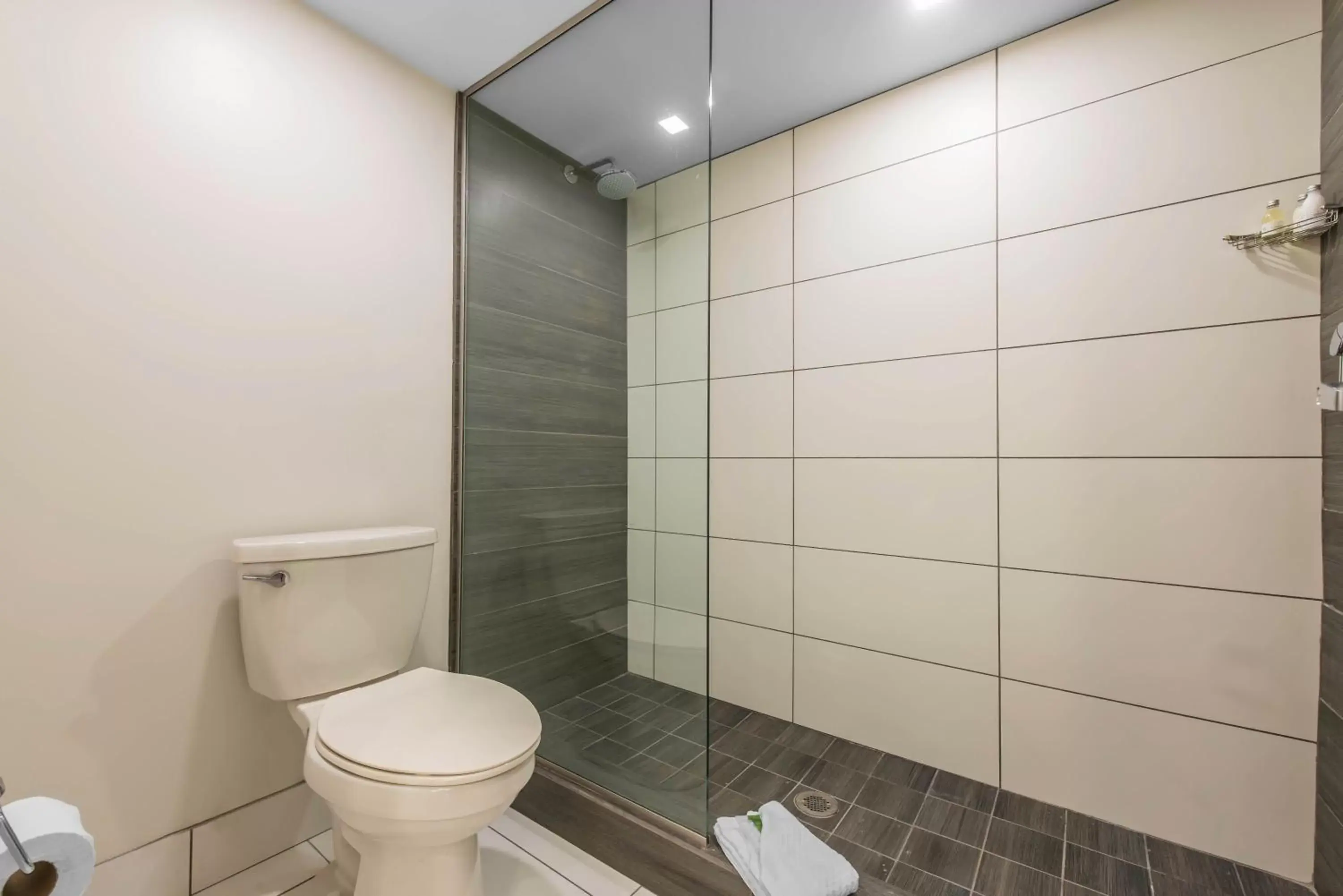 Other, Bathroom in Avanti International Resort