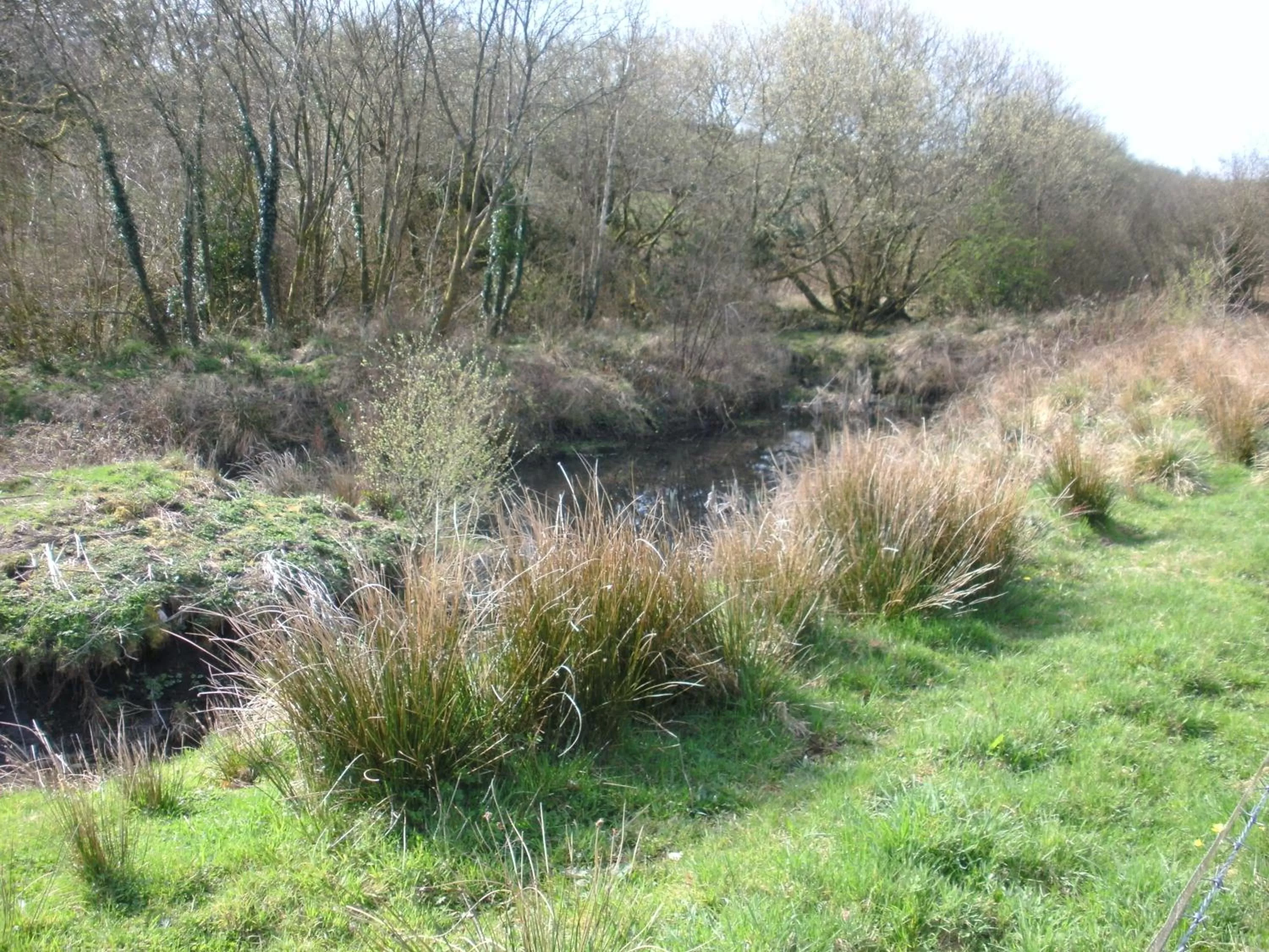 Area and facilities in Beudy Bach