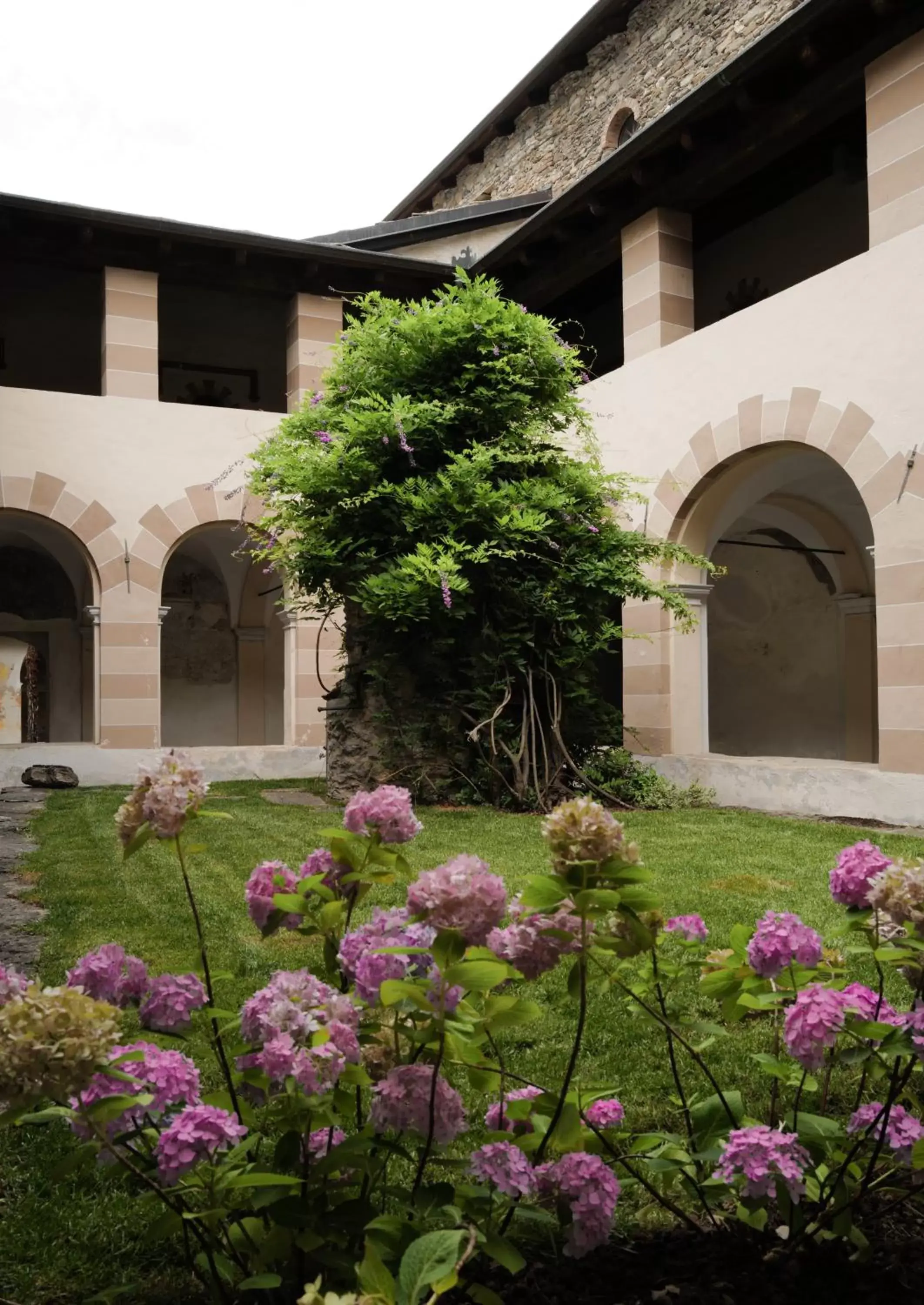 Garden, Property Building in Convento Boutique Hotel