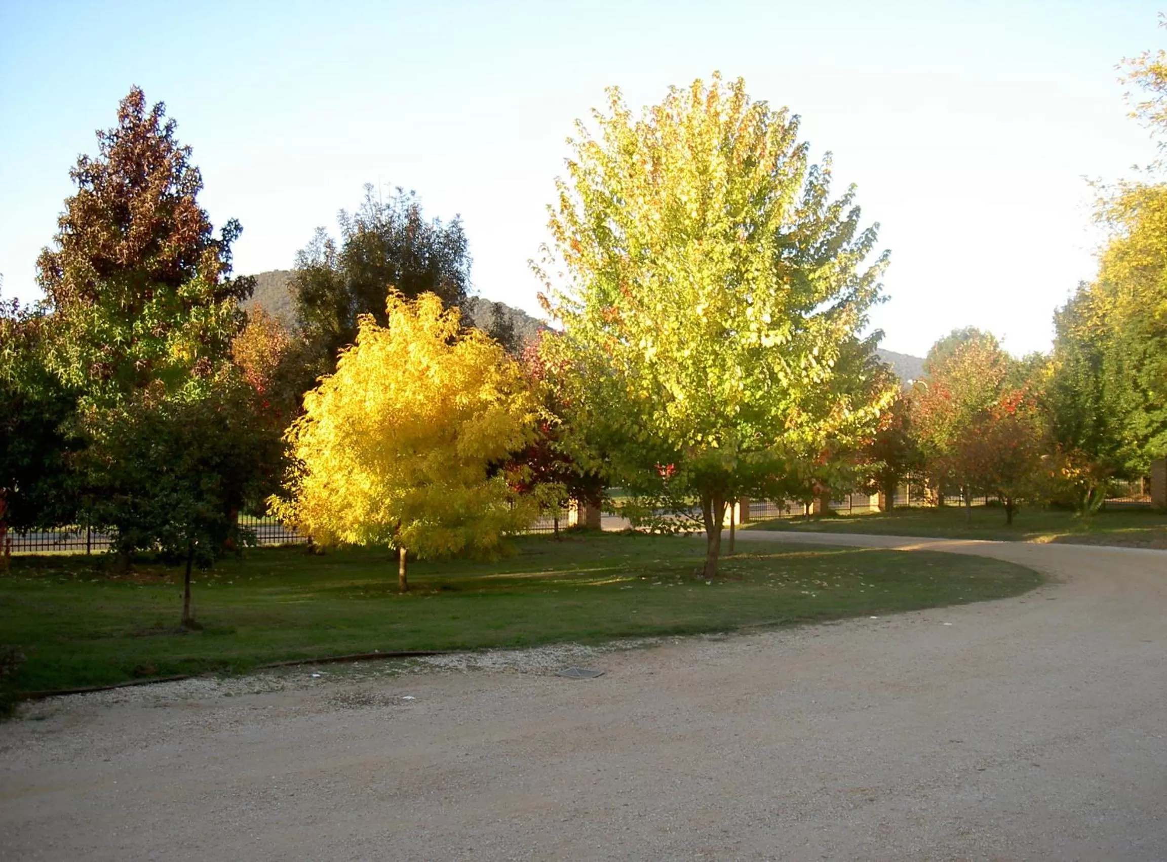 View (from property/room) in Bright on Track