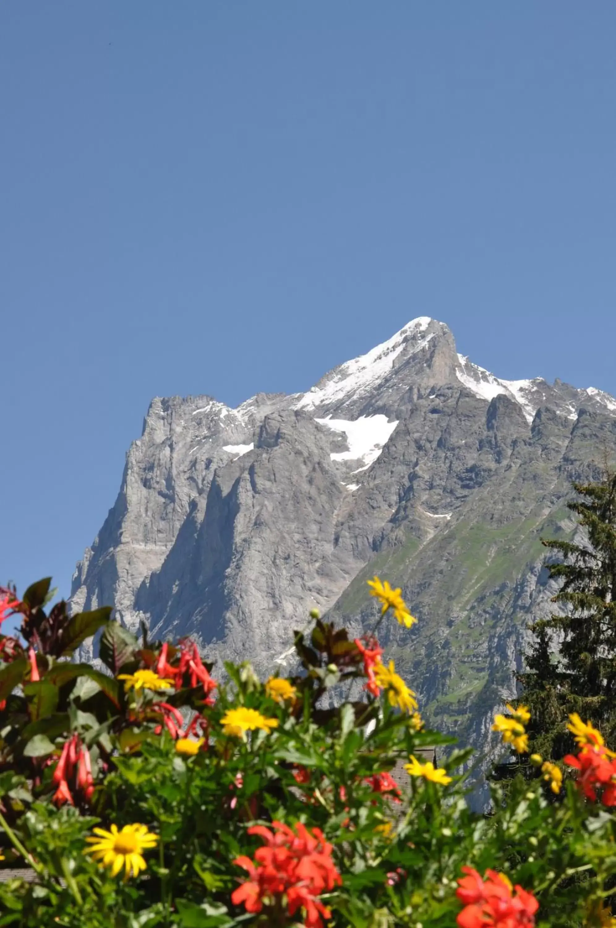 Summer, Mountain View in Hotel Gletschergarten