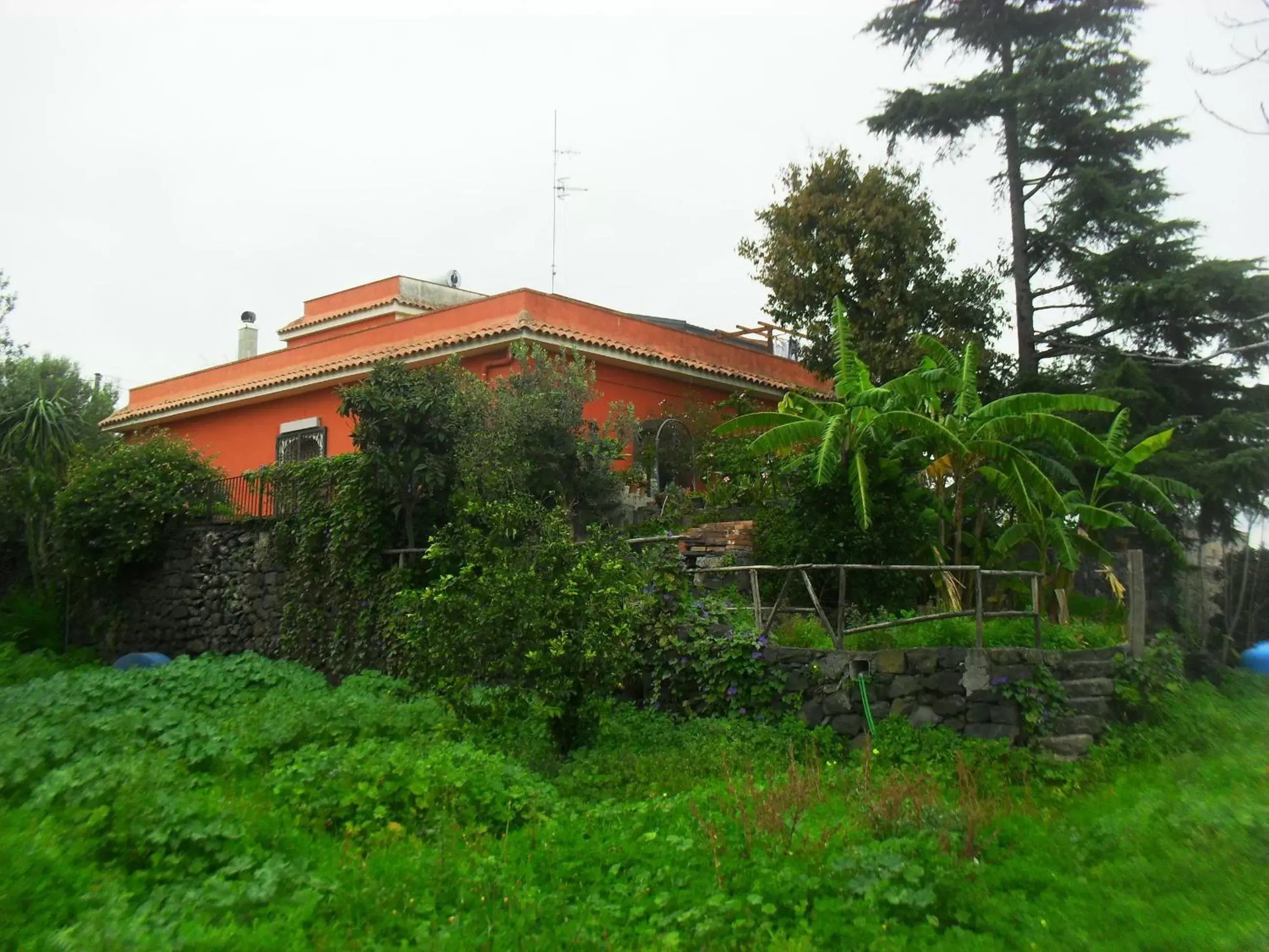 View (from property/room), Property Building in B&B Villa Lidia