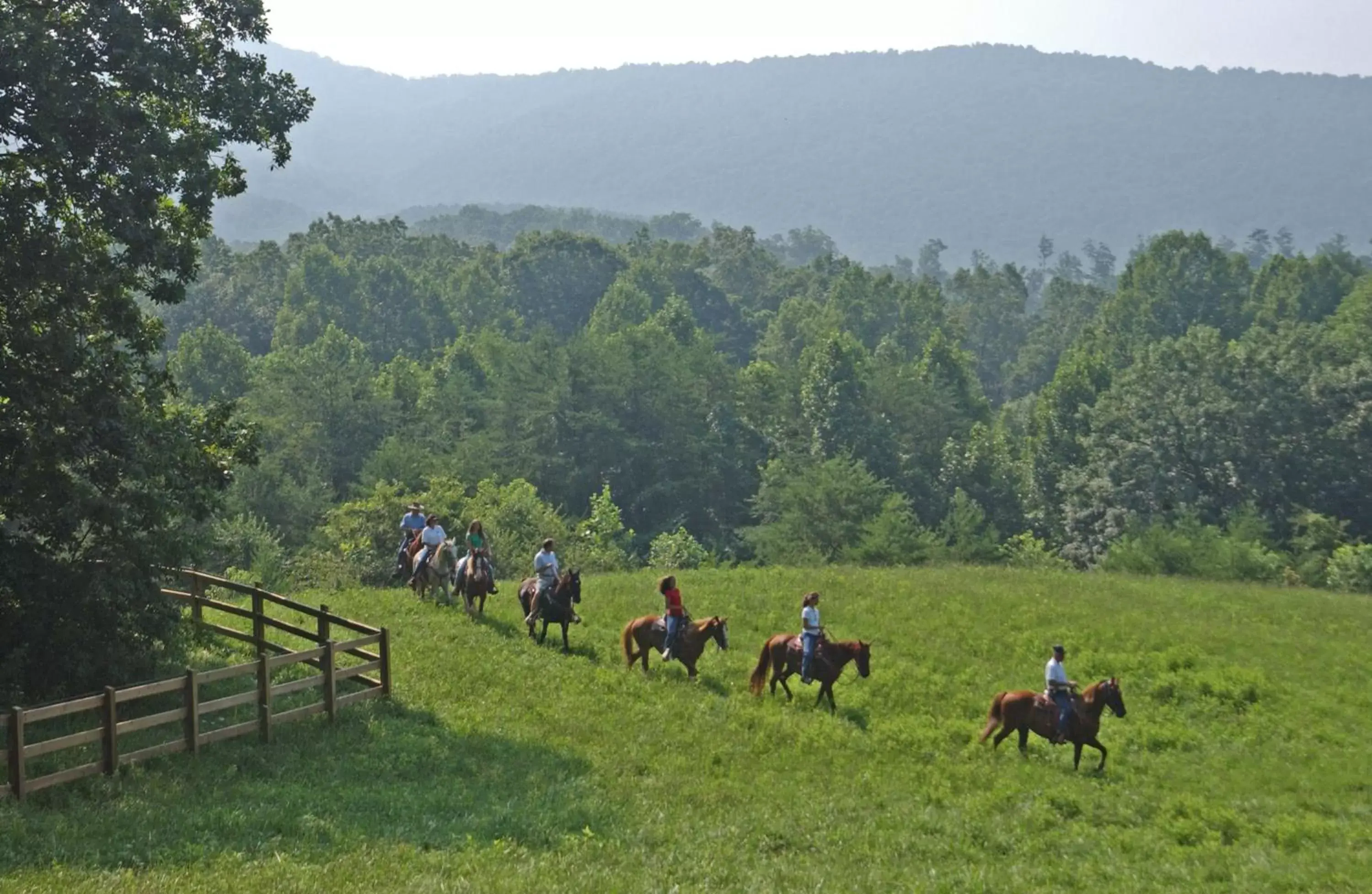 Horse-riding, Horseback Riding in Brasstown Valley Resort & Spa