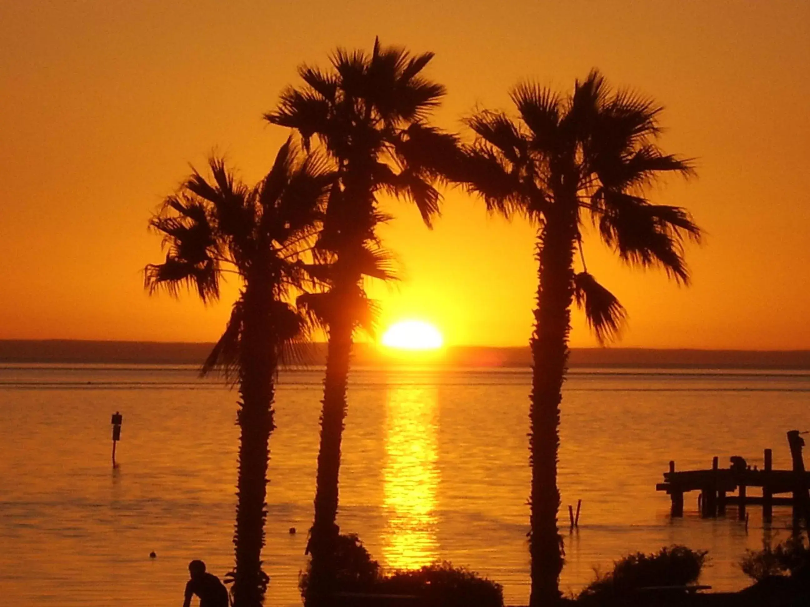 View (from property/room), Sunrise/Sunset in Heritage Resort Shark Bay