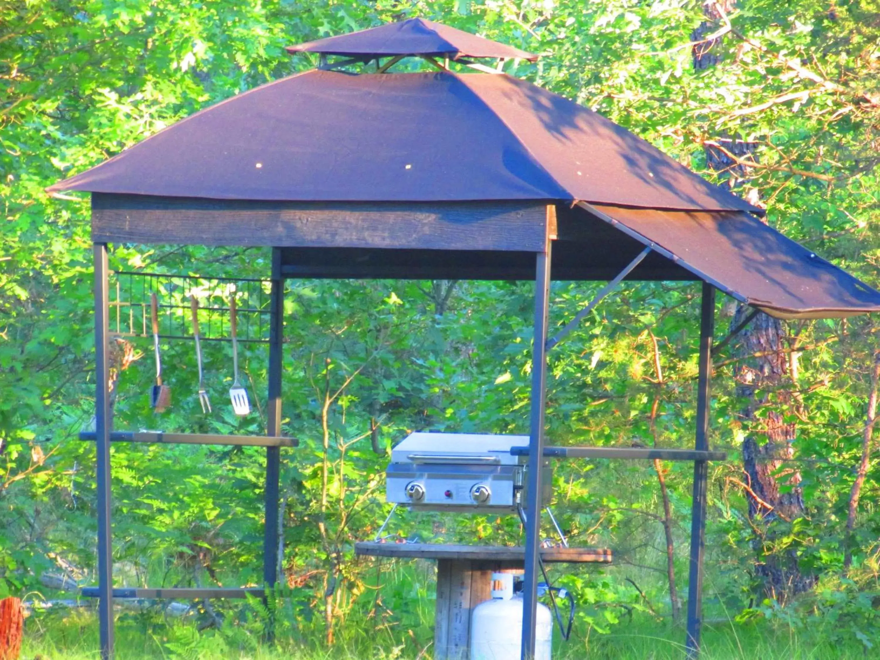 BBQ facilities, Patio/Outdoor Area in Best Bear Lodge