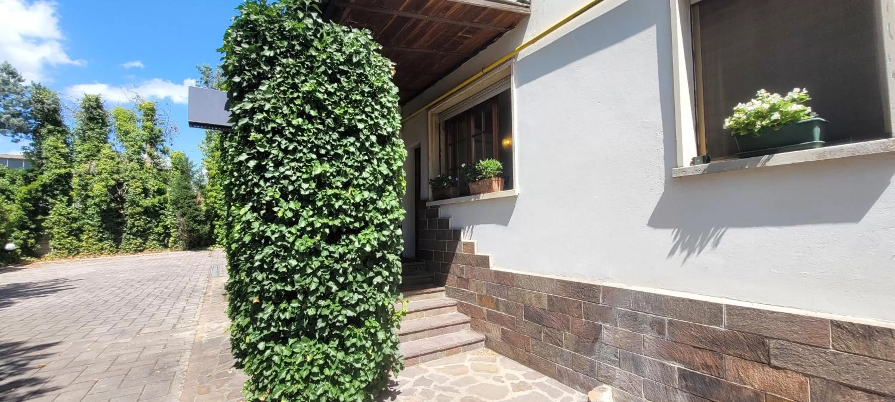 Garden view in HOTEL PARADISO