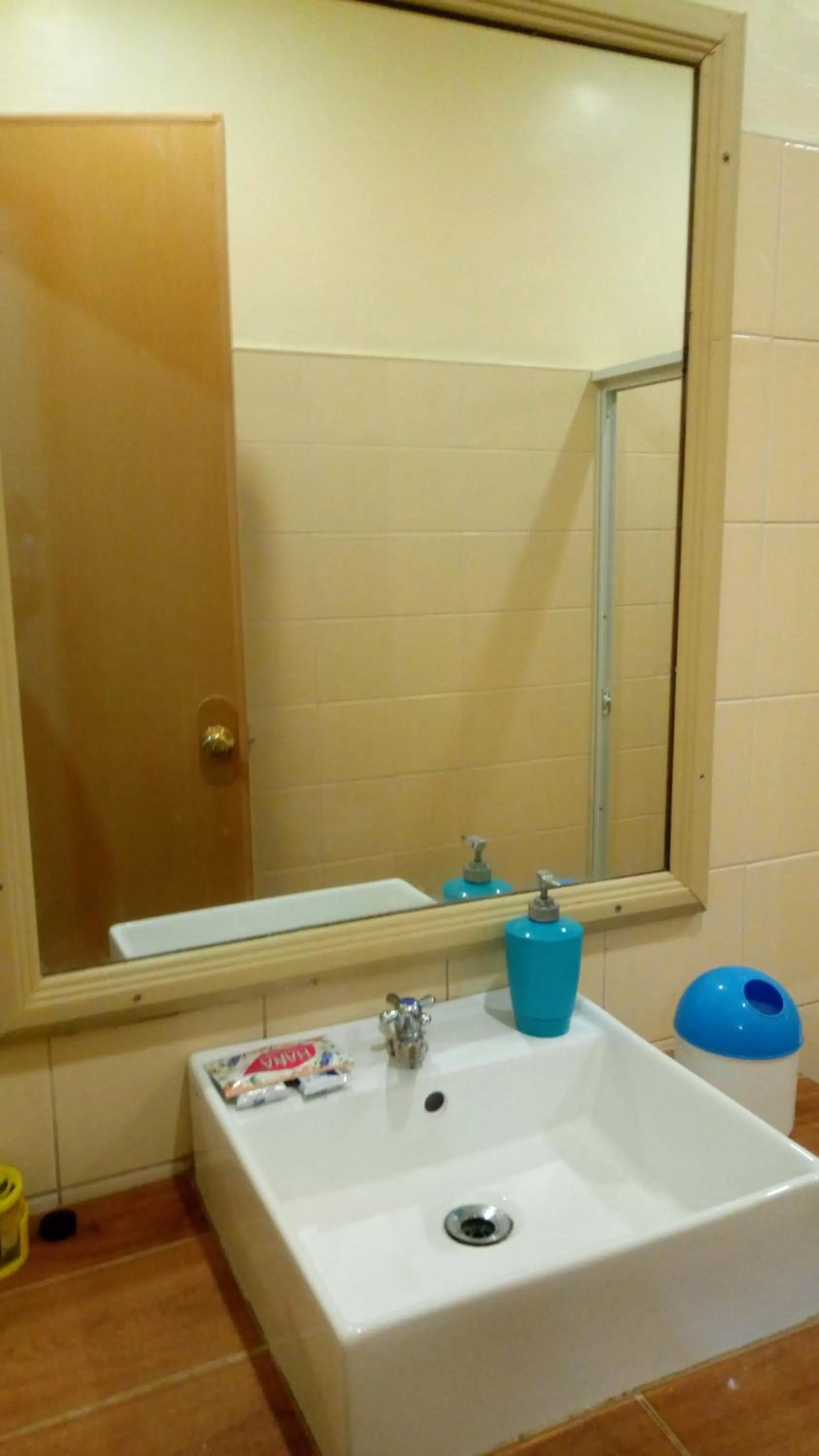 Shower in Hotel Casa Teofista