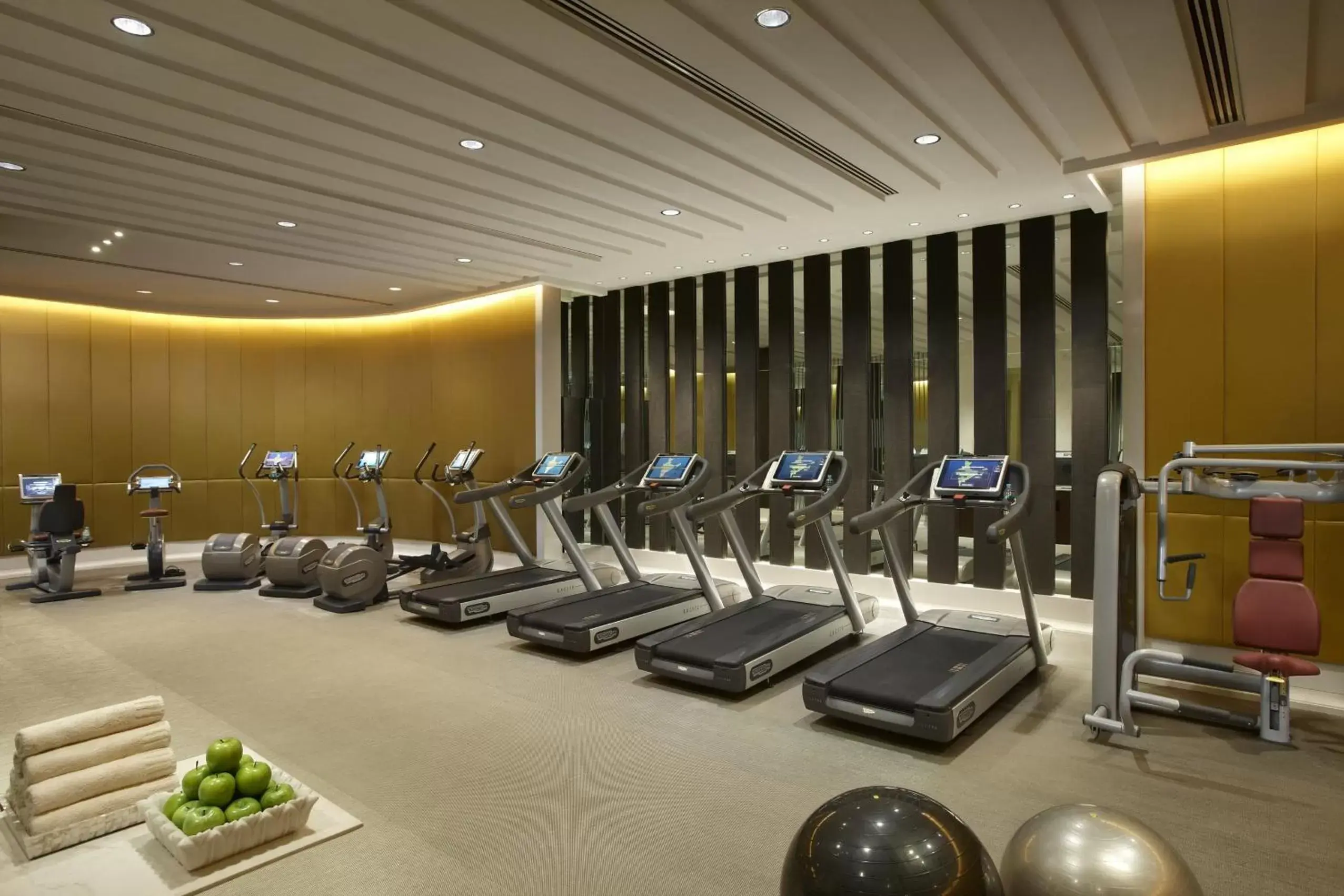 Fitness centre/facilities, Fitness Center/Facilities in The Leela Palace New Delhi