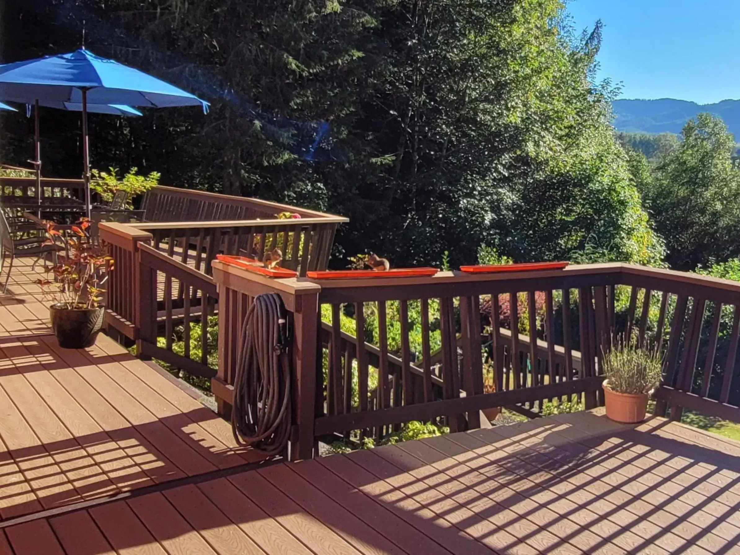 Balcony/Terrace in Misty Valley Inn