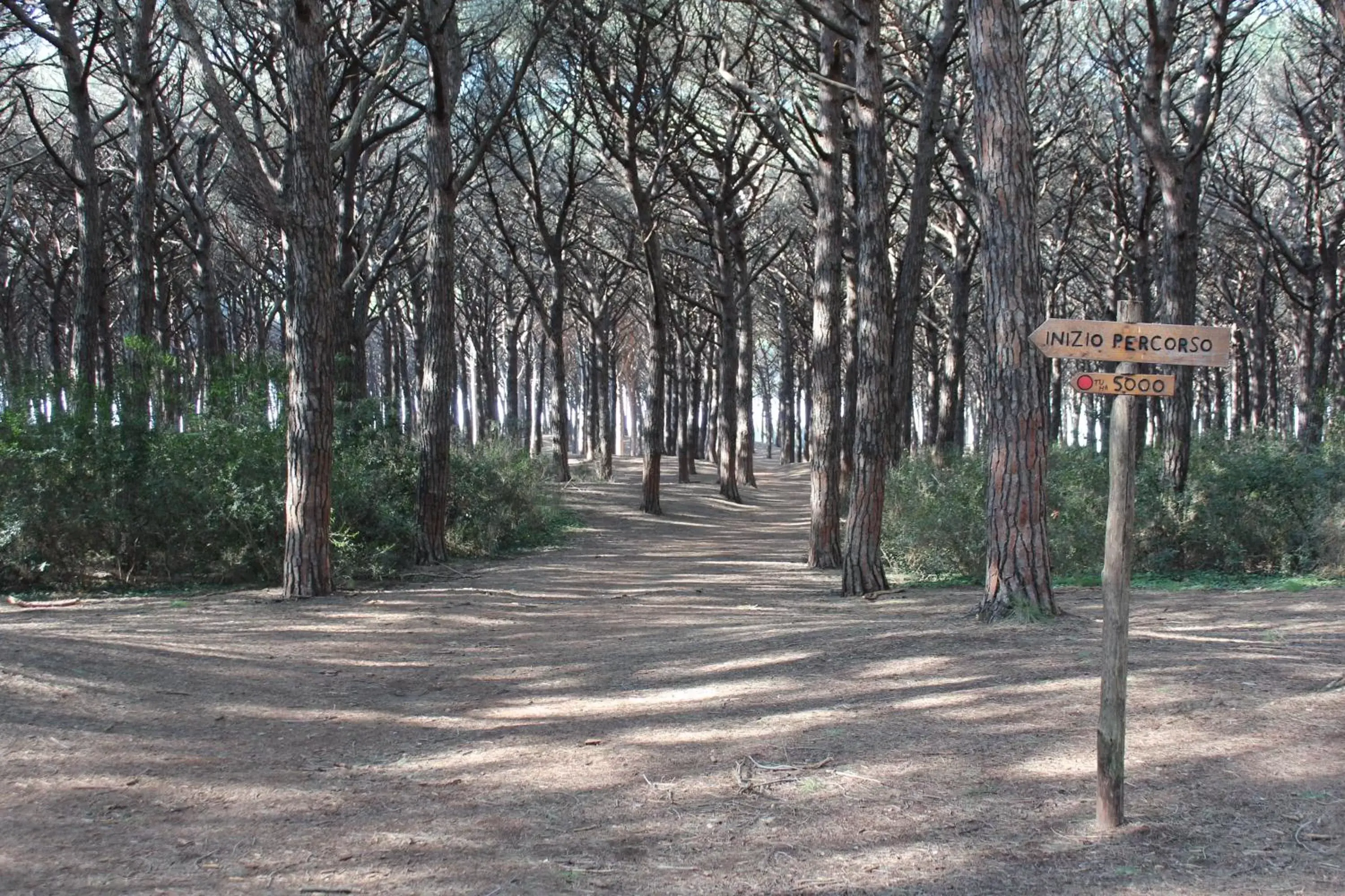 Natural landscape in Hotel Massimo