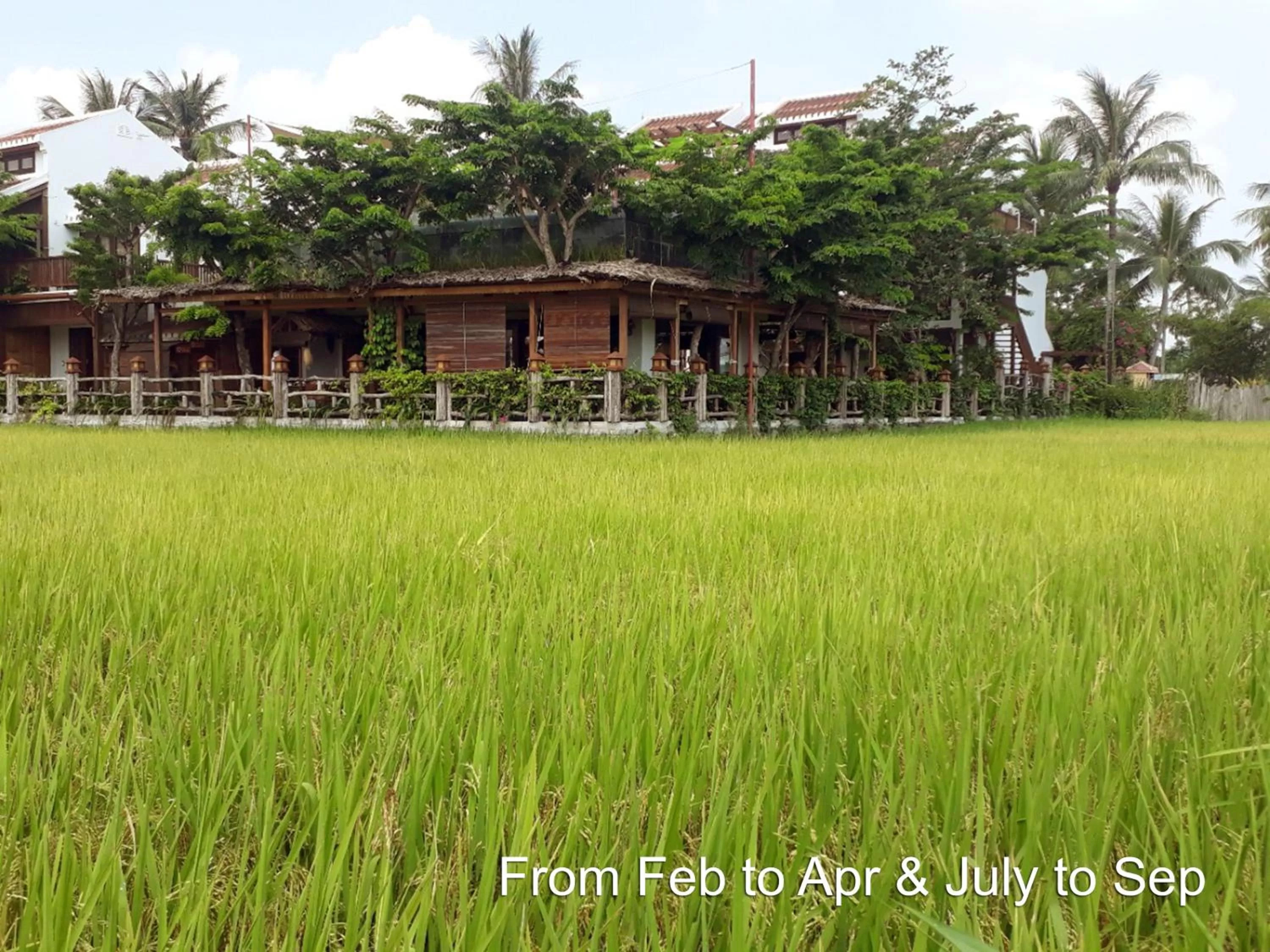 Landmark view in Hoi An Chic - Green Retreat
