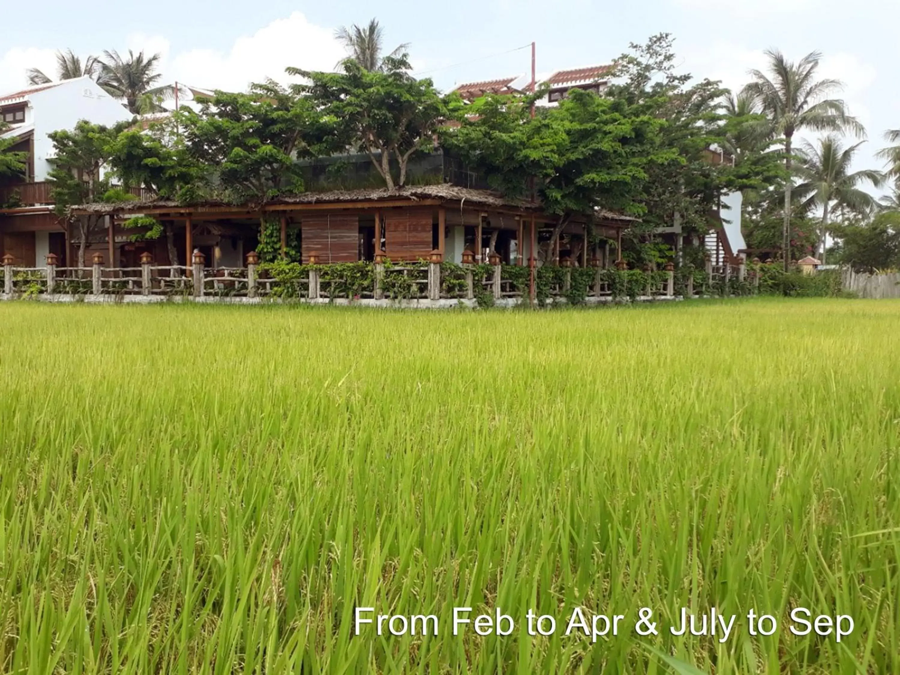 Landmark view, Property Building in Hoi An Chic - Green Retreat