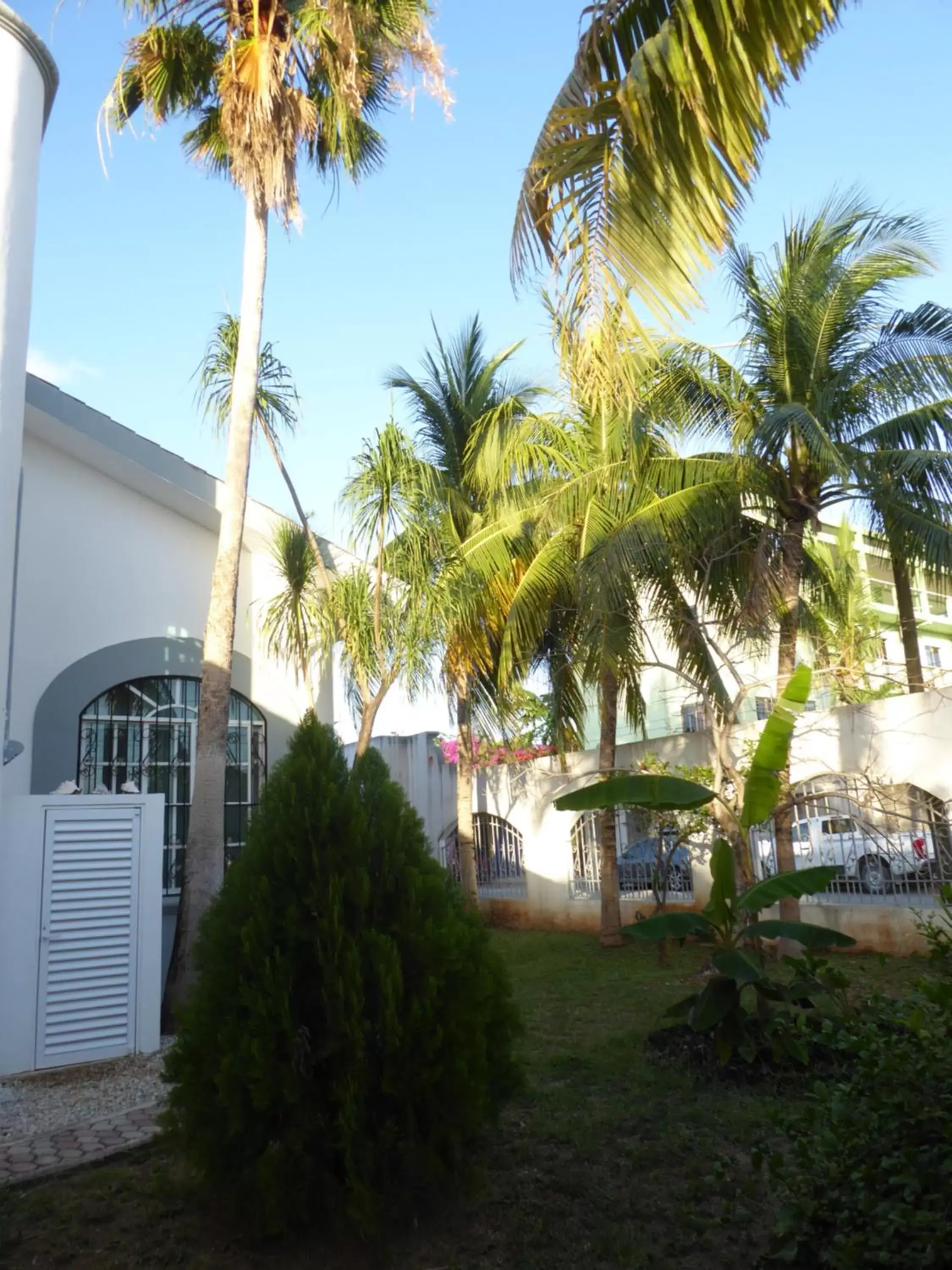 Garden, Property Building in Claro de Luna